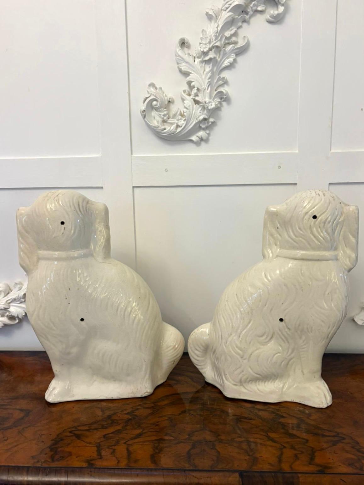 Großes Paar antiker Staffordshire-Hunde in viktorianischer Qualität mit weißen Mänteln, Halsbändern, Vorhängeschlössern und Ketten. 

In schönem Originalzustand.

Abmessungen:
Höhe 33,5 cm (13,19 Zoll)
Breite 28 cm (11.02 in)
Tiefe 10 cm (3.94