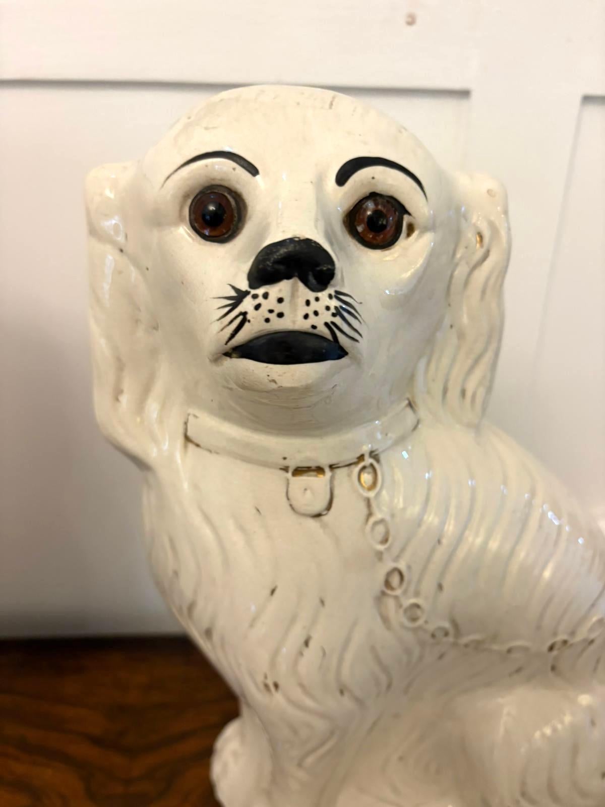 Großes Paar antiker Staffordshire-Hunde in viktorianischer Qualität im Angebot 2