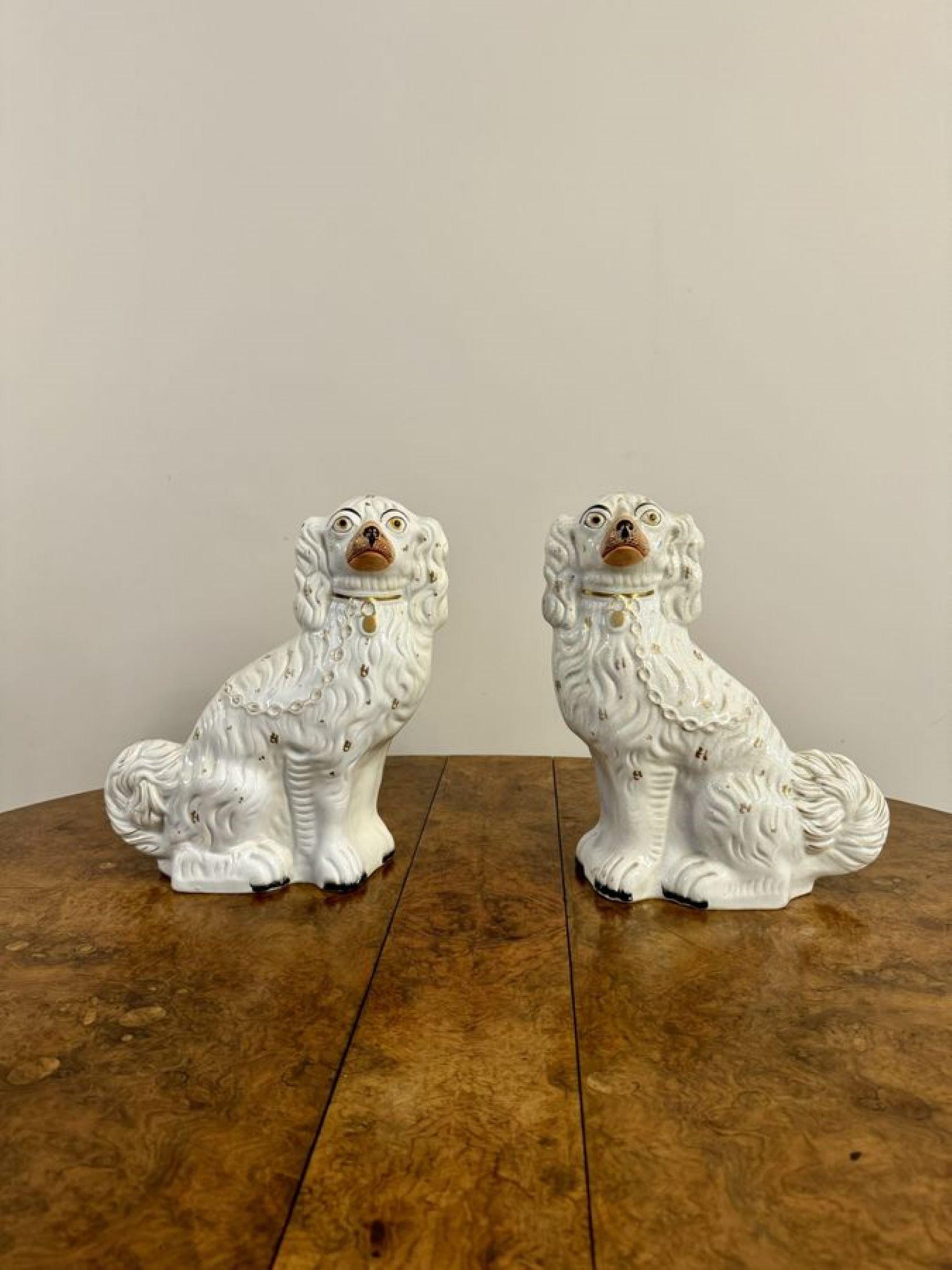 Large pair of antique Victorian seated Staffordshire spaniel dogs, having a large pair of antique Victorian seated spaniel dogs with matching white coats, gold detail with gold collars, padlocks and chains.

D. 1880