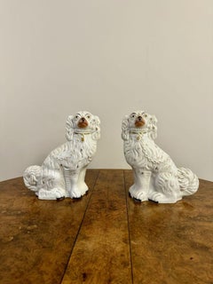 Large pair of antique Victorian seated Staffordshire spaniel dogs