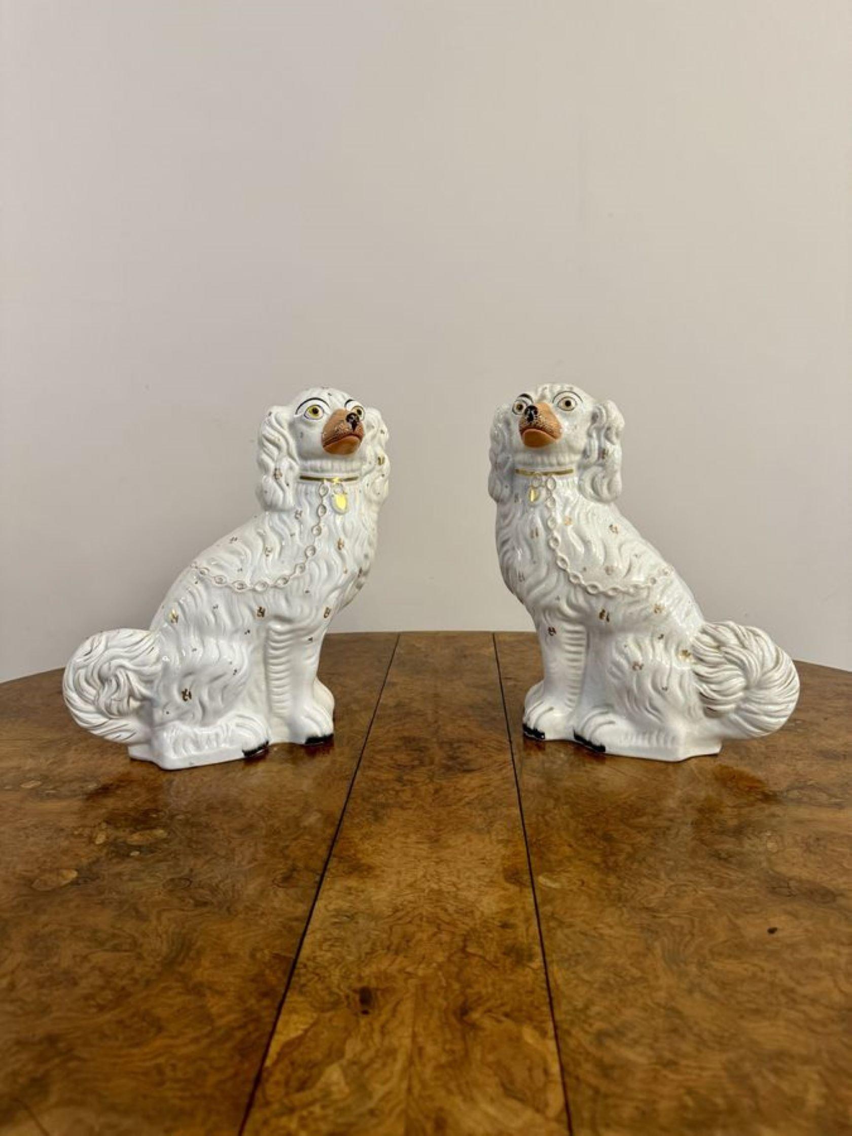 19th Century Large pair of antique Victorian seated Staffordshire spaniel dogs For Sale