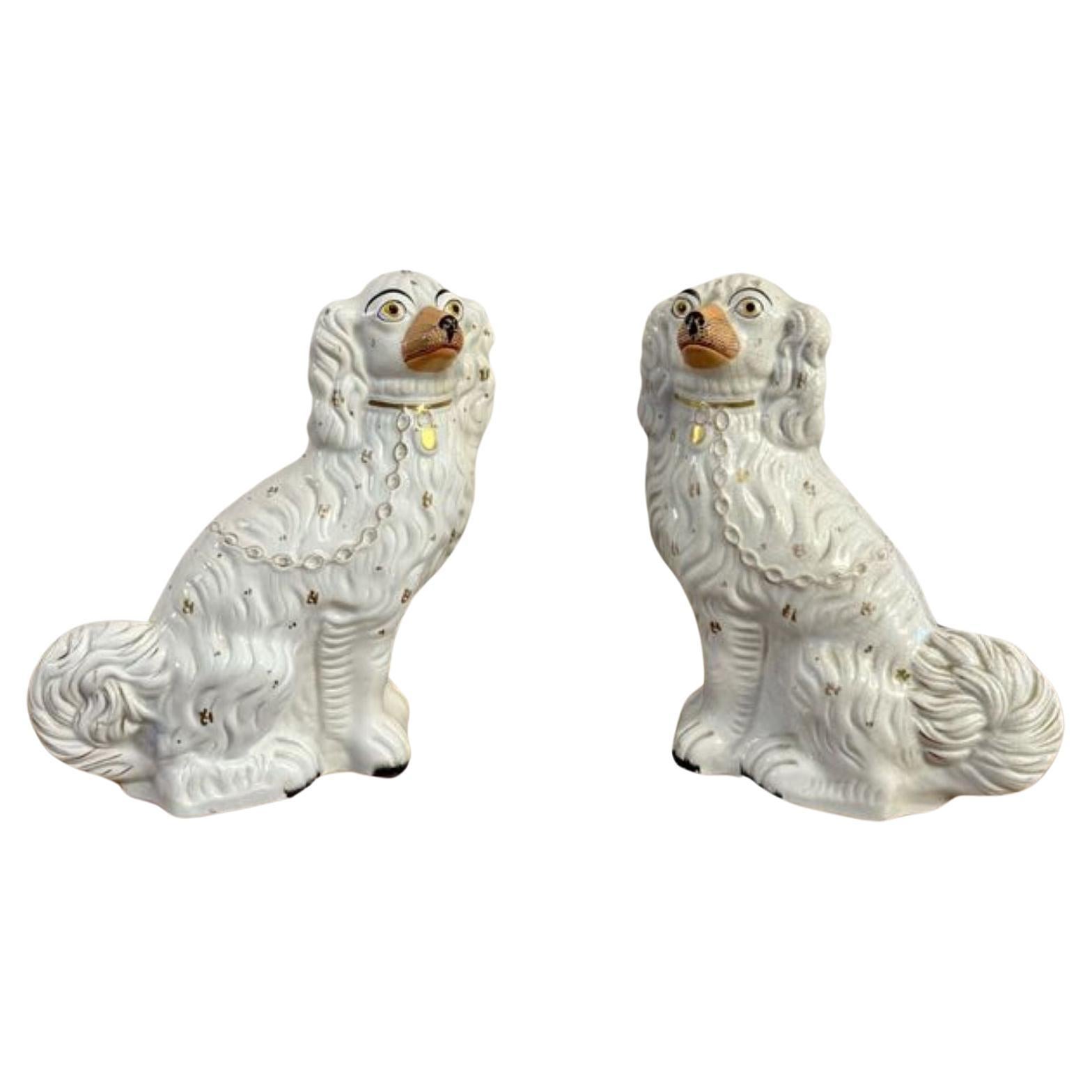 Large pair of antique Victorian seated Staffordshire spaniel dogs For Sale