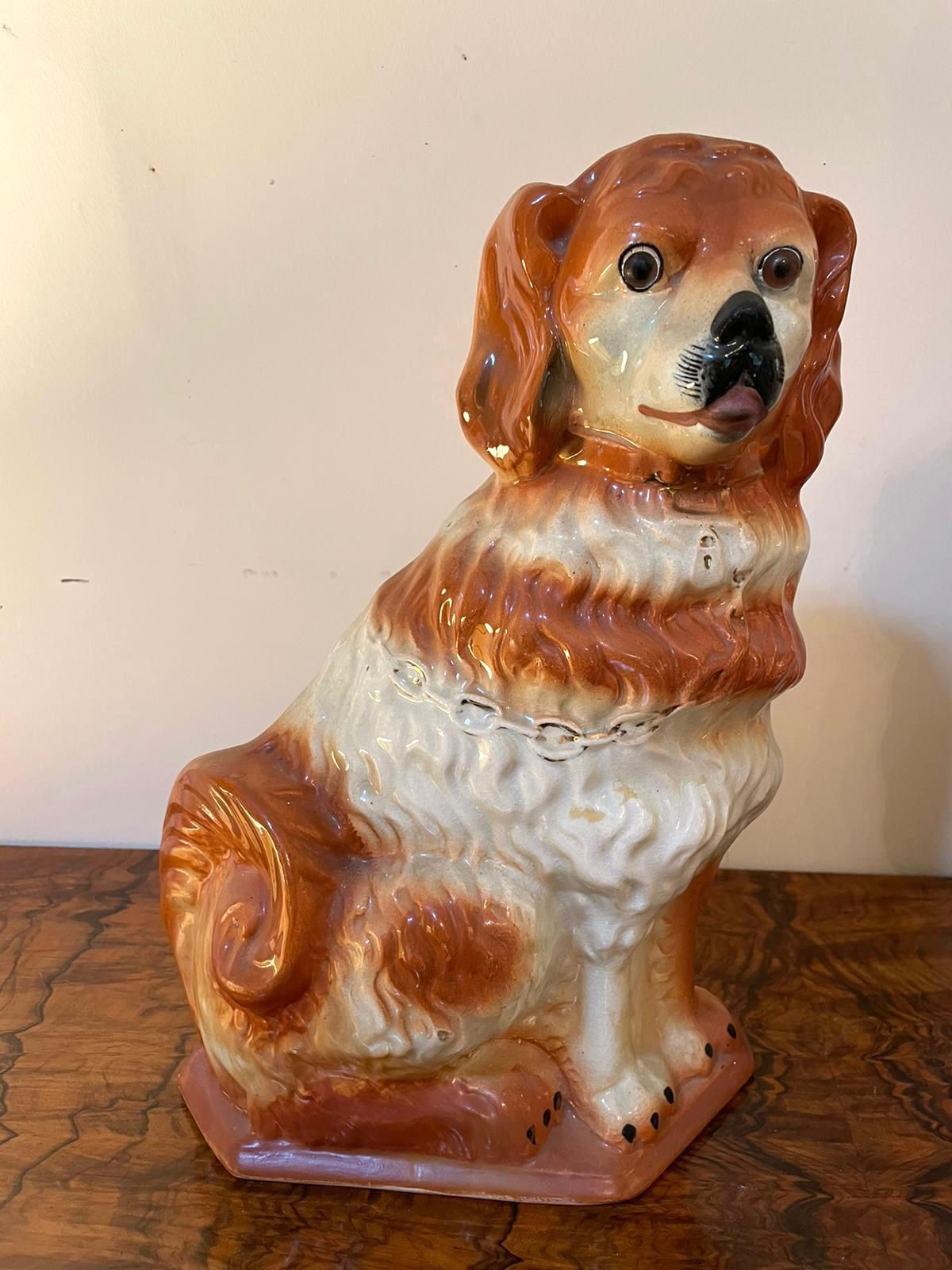 Large pair of antique Victorian Staffordshire dogs having matching collars, padlocks and chains, the brown and white Spaniels are seated and have glass eyes.

Very attractive pair in lovely original condition.

Measures: H 32.5cm 
W 22.5cm 
D