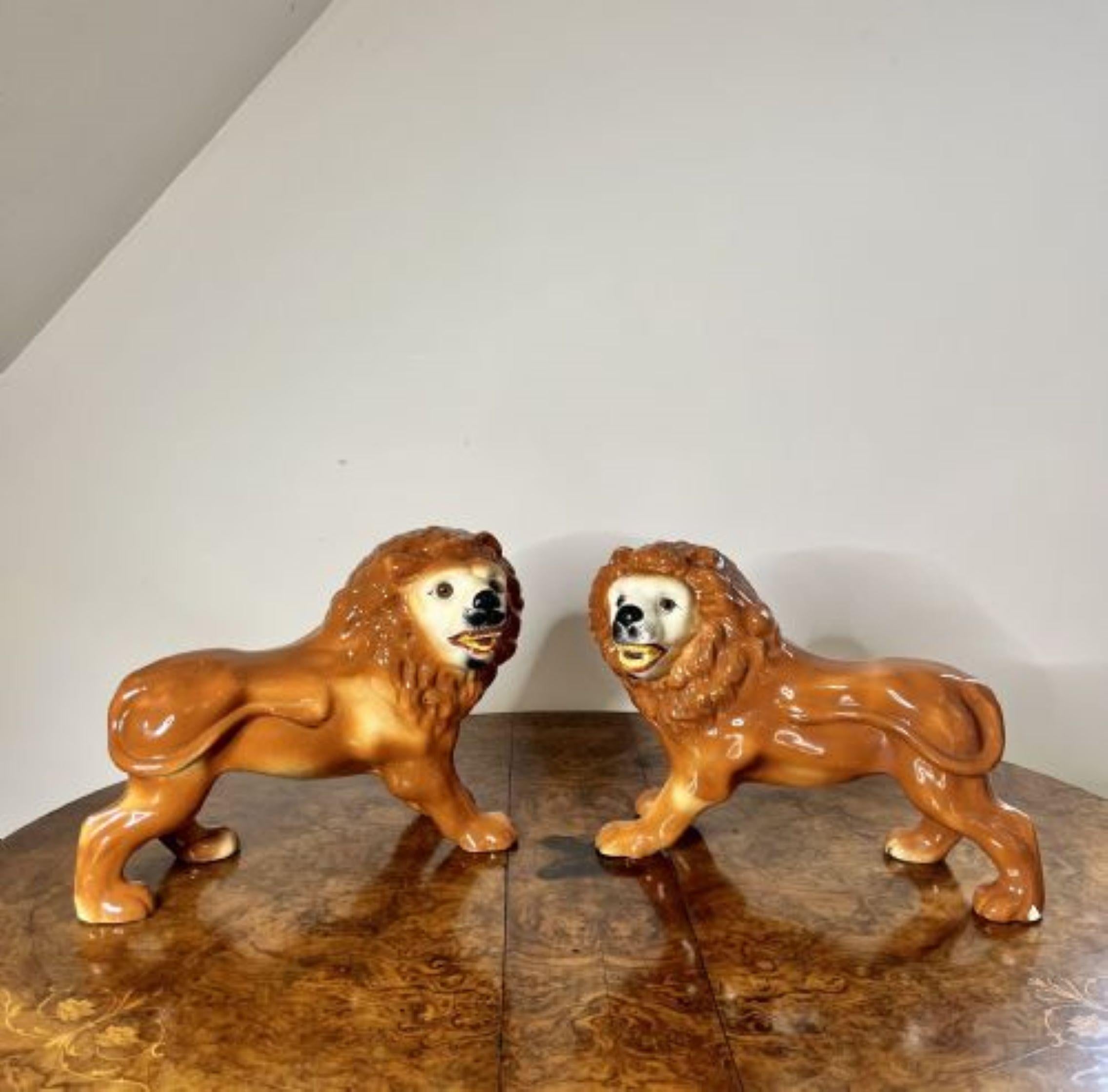 Large pair of antique Victorian Staffordshire lions having a quality pair of antique Staffordshire lions in a standing position, hand painted in brown and white colours, having the original glass eyes. 
One chip to one of the back legs as shown.