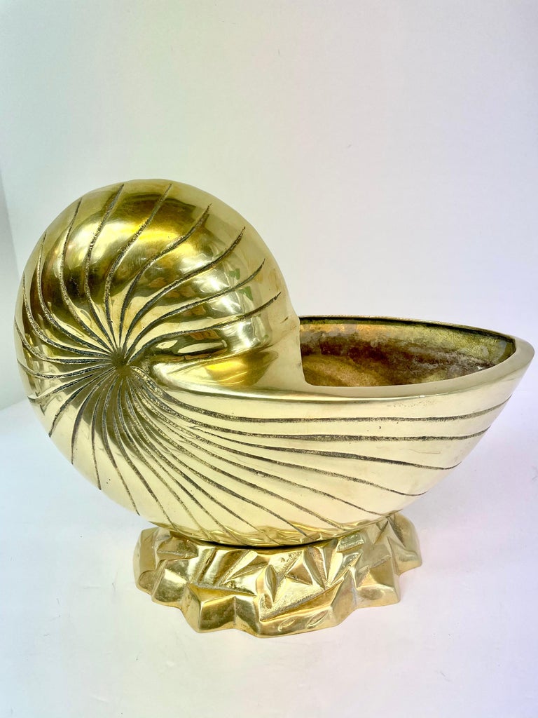 Large Pair of Brass Seashell Nautilus For Sale at 1stDibs