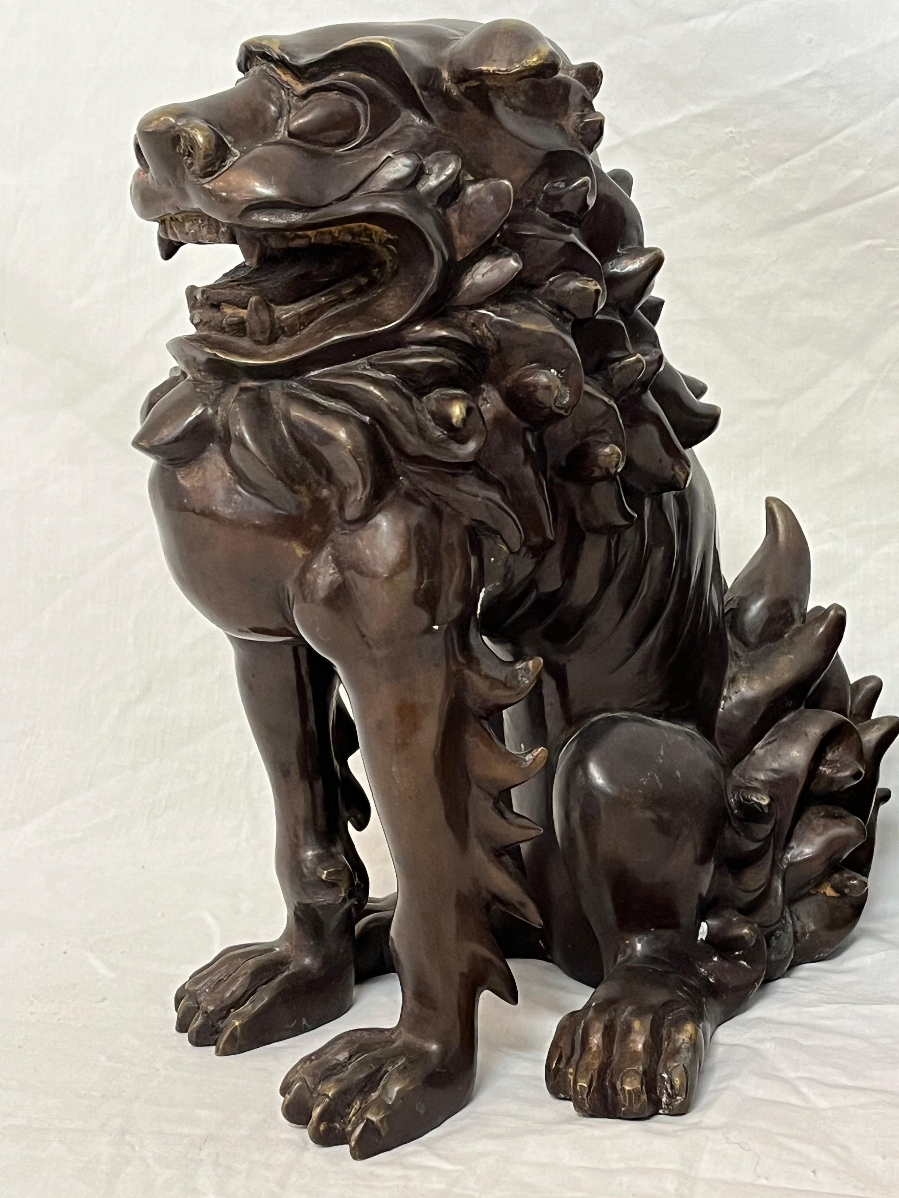 Large Pair of Bronze Lionized Shih Tzus Foo Dogs 20th Century Asian Sculptures For Sale 4