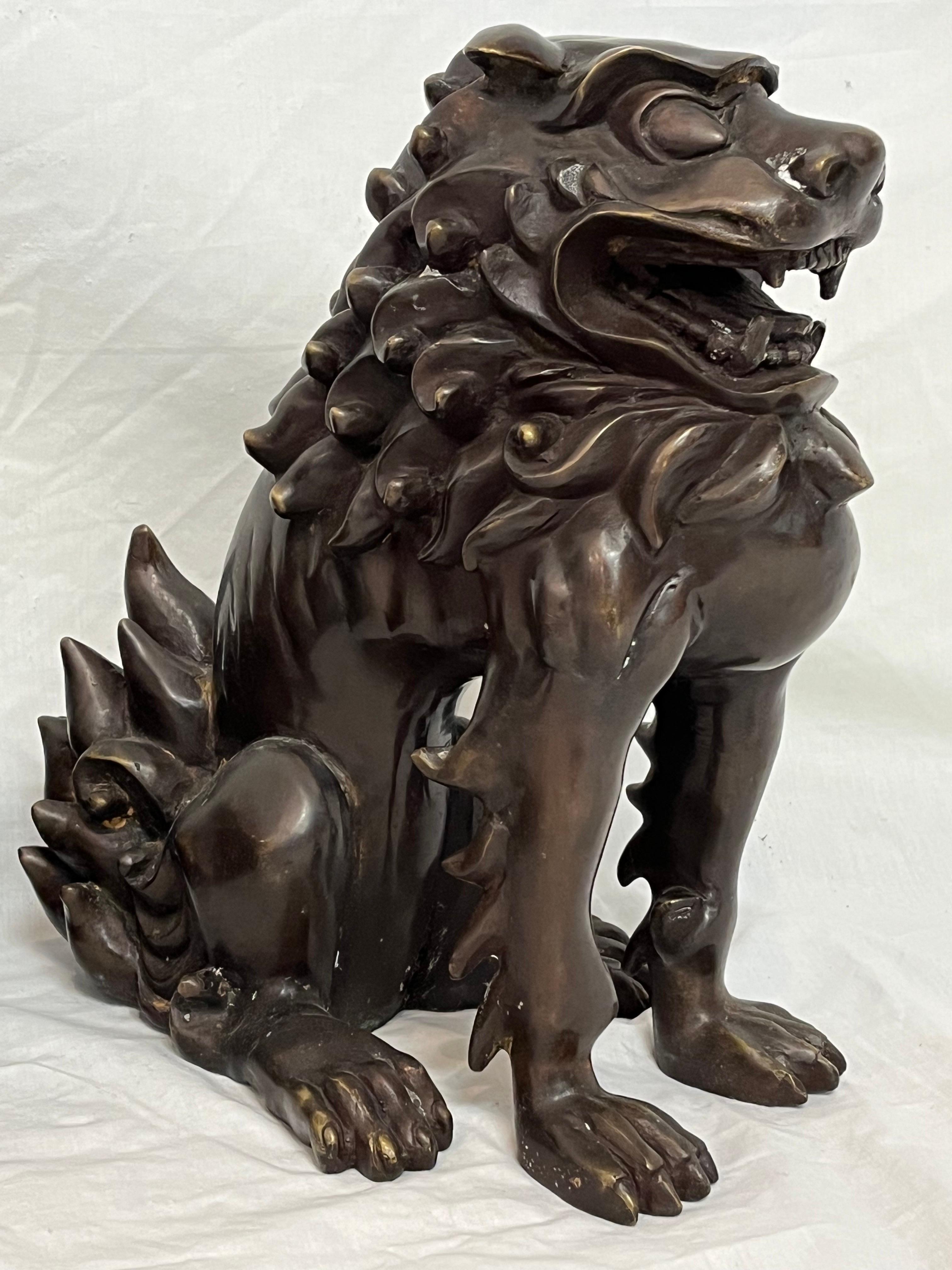 Large Pair of Bronze Lionized Shih Tzus Foo Dogs 20th Century Asian Sculptures For Sale 7