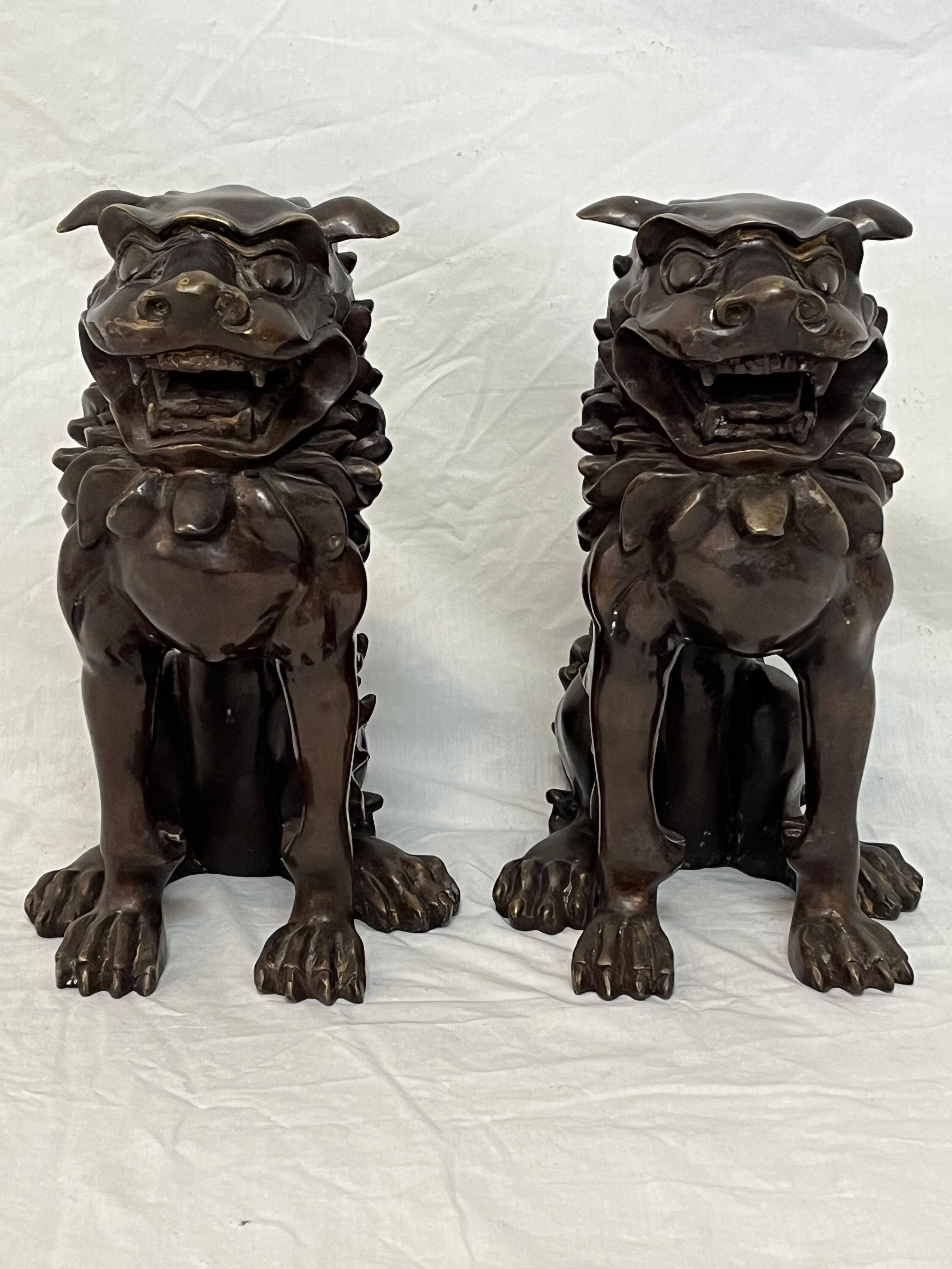 Large Pair of Bronze Lionized Shih Tzus Foo Dogs 20th Century Asian Sculptures For Sale 6