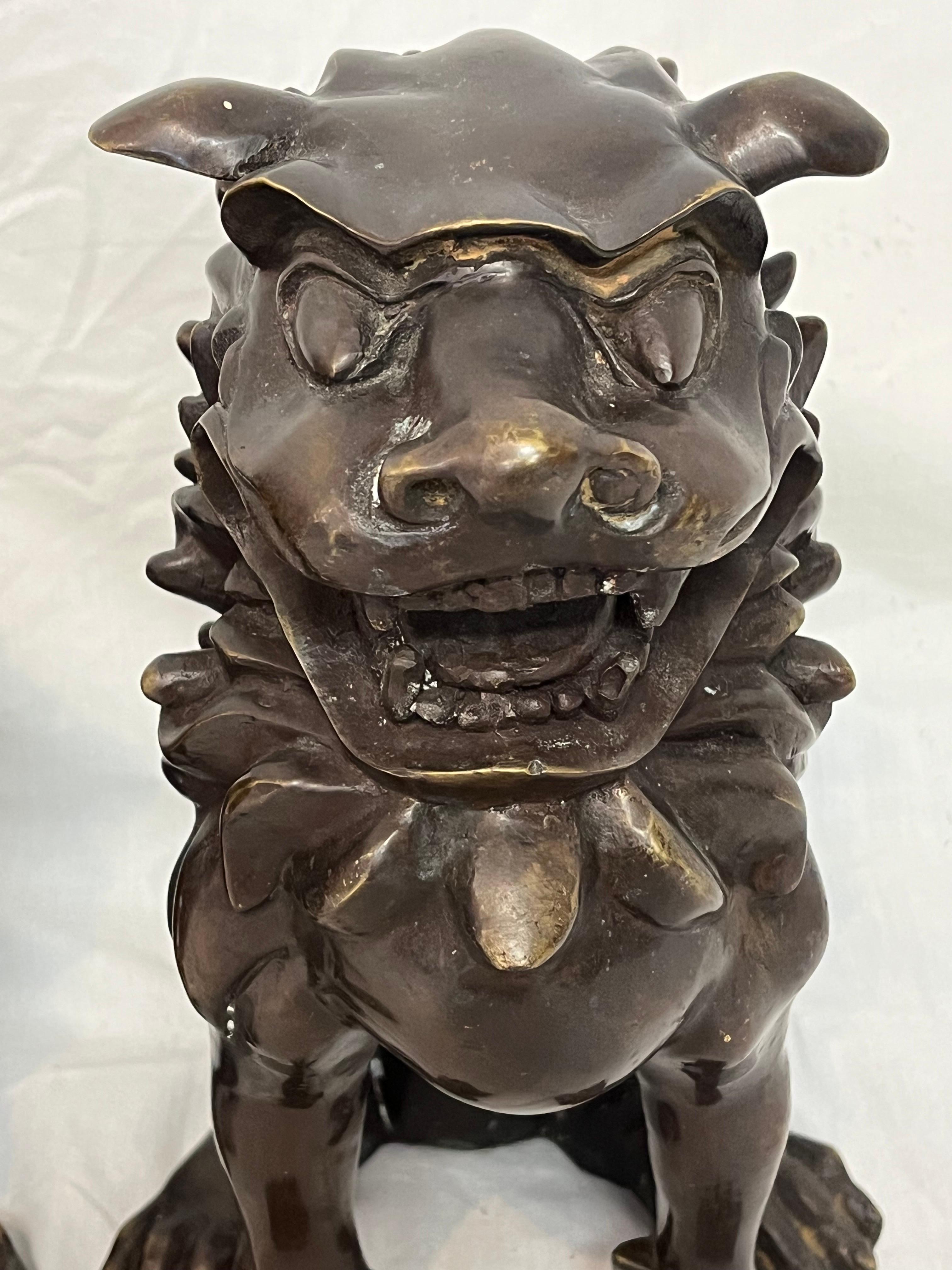 Large Pair of Bronze Lionized Shih Tzus Foo Dogs 20th Century Asian Sculptures For Sale 10