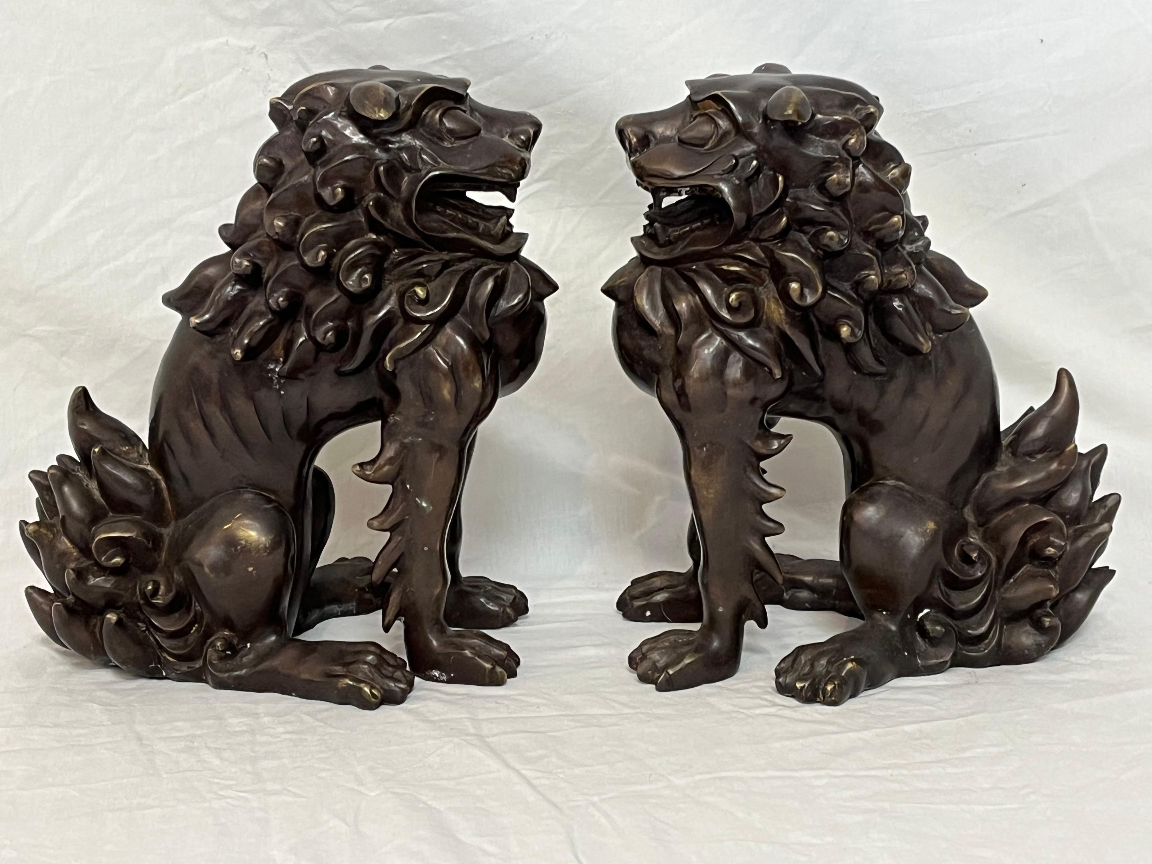 Large Pair of Bronze Lionized Shih Tzus Foo Dogs 20th Century Asian Sculptures For Sale 14