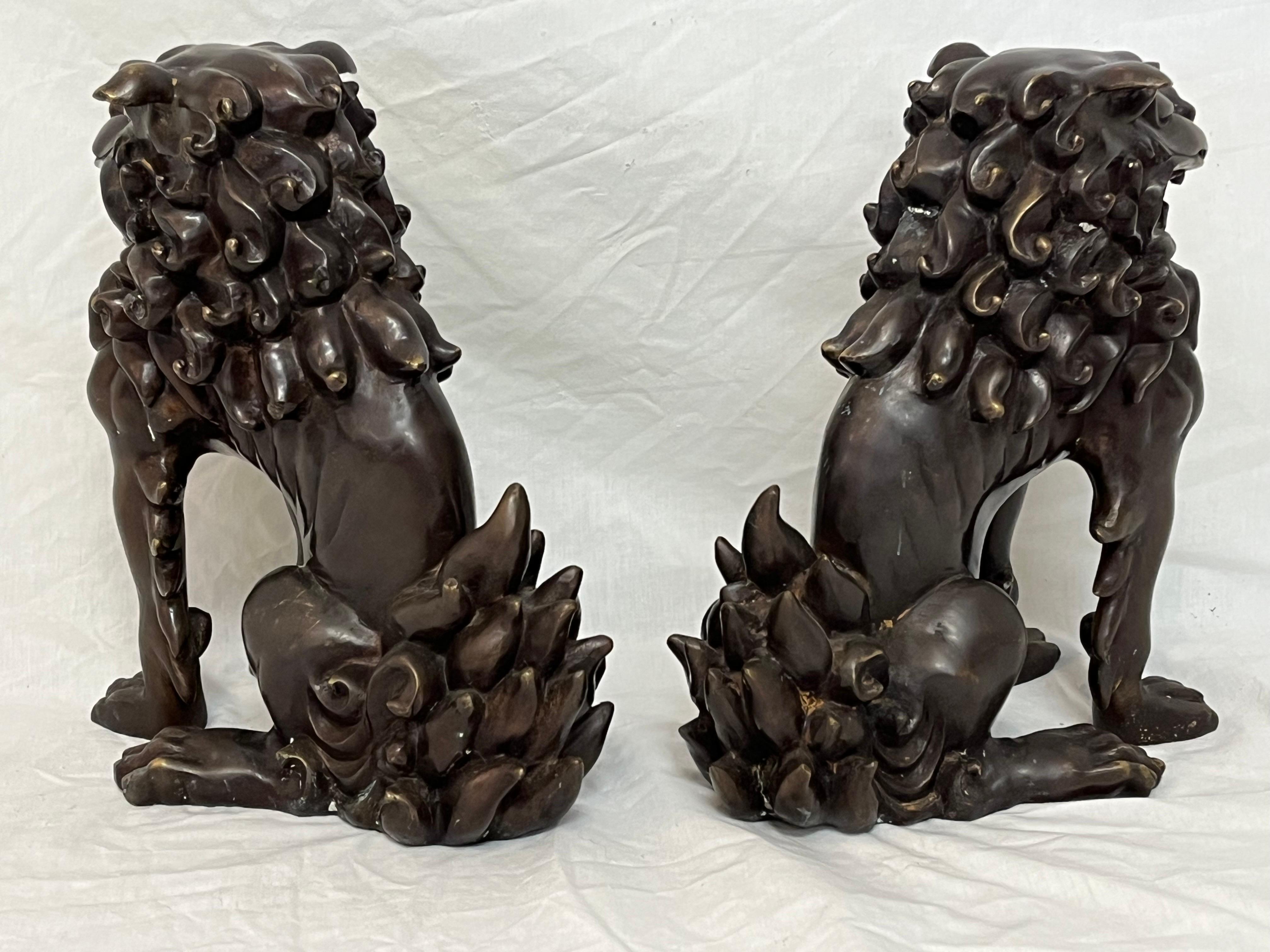 Large Pair of Bronze Lionized Shih Tzus Foo Dogs 20th Century Asian Sculptures In Good Condition For Sale In Atlanta, GA