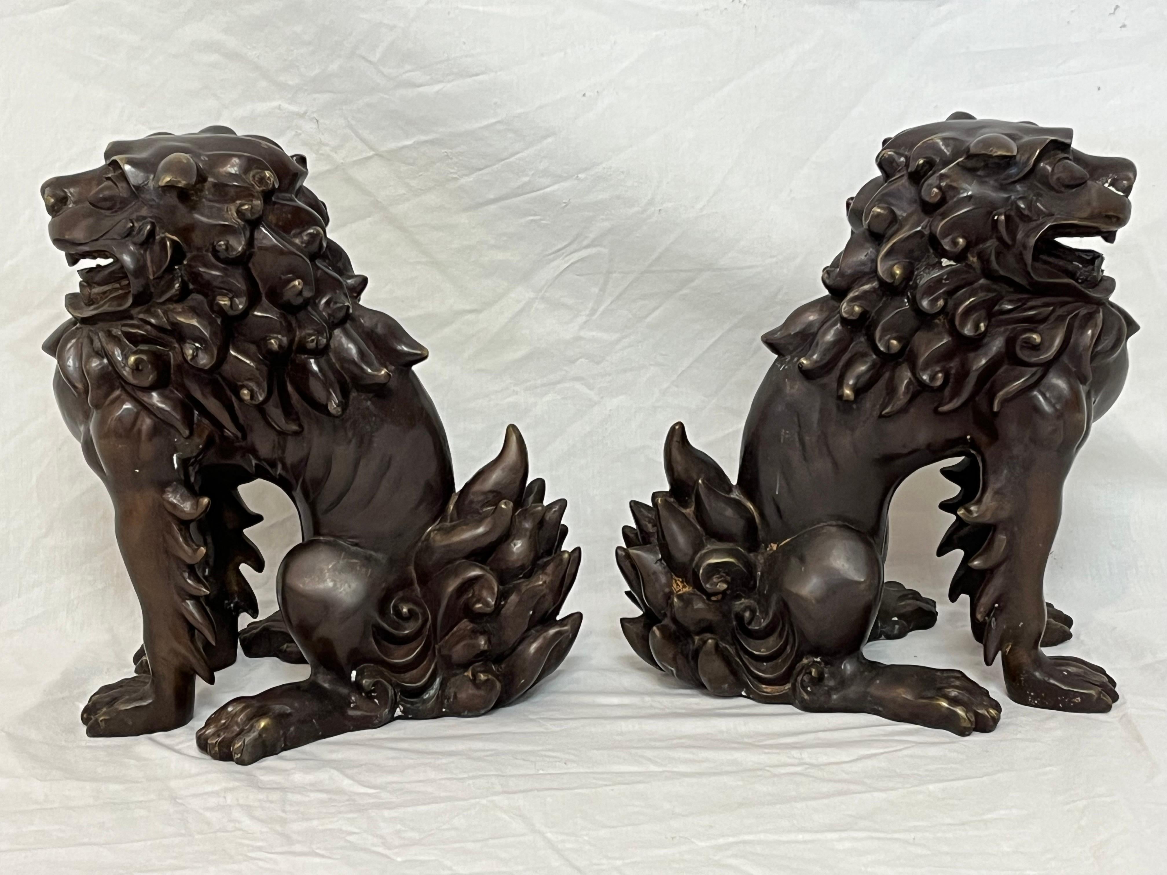 Large Pair of Bronze Lionized Shih Tzus Foo Dogs 20th Century Asian Sculptures For Sale 3