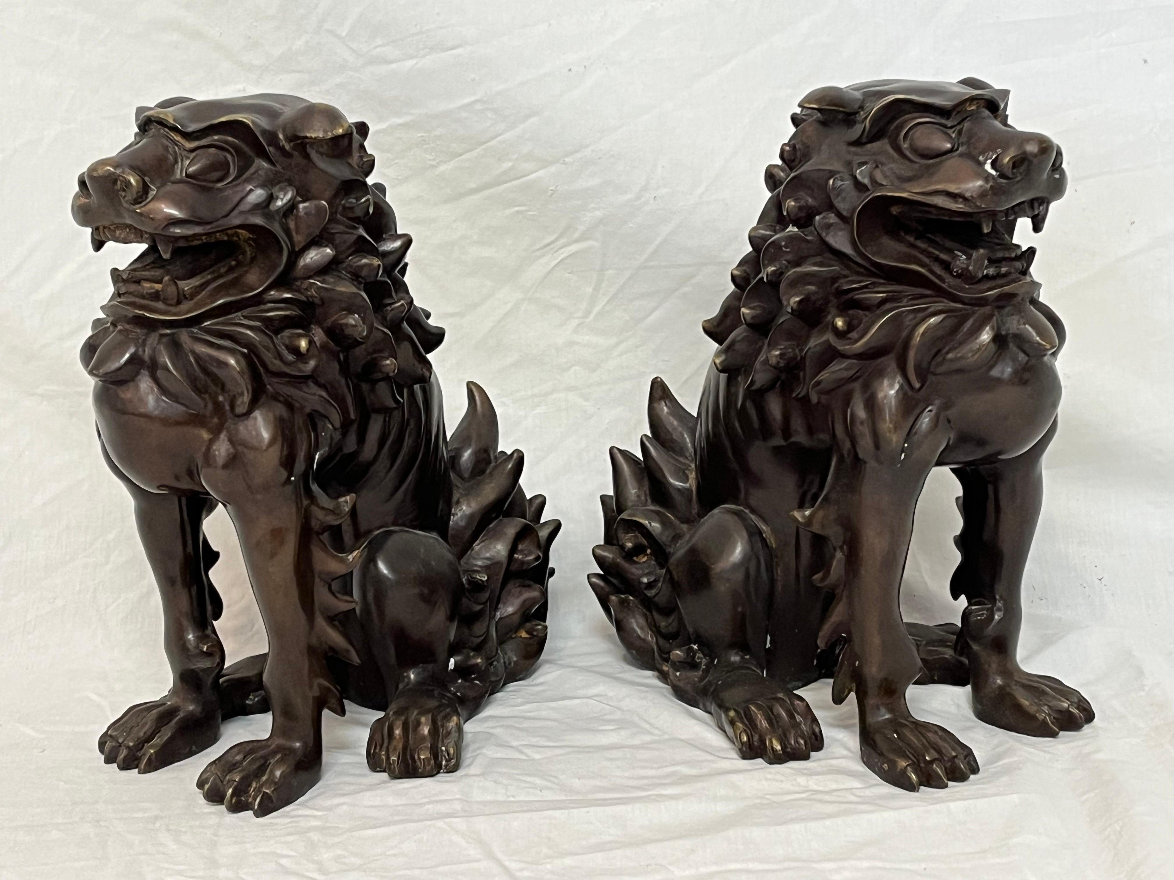 Large Pair of Bronze Lionized Shih Tzus Foo Dogs 20th Century Asian Sculptures For Sale 5
