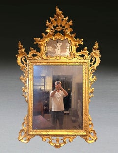Large Pair of C19th Italian Gilt Mirrors