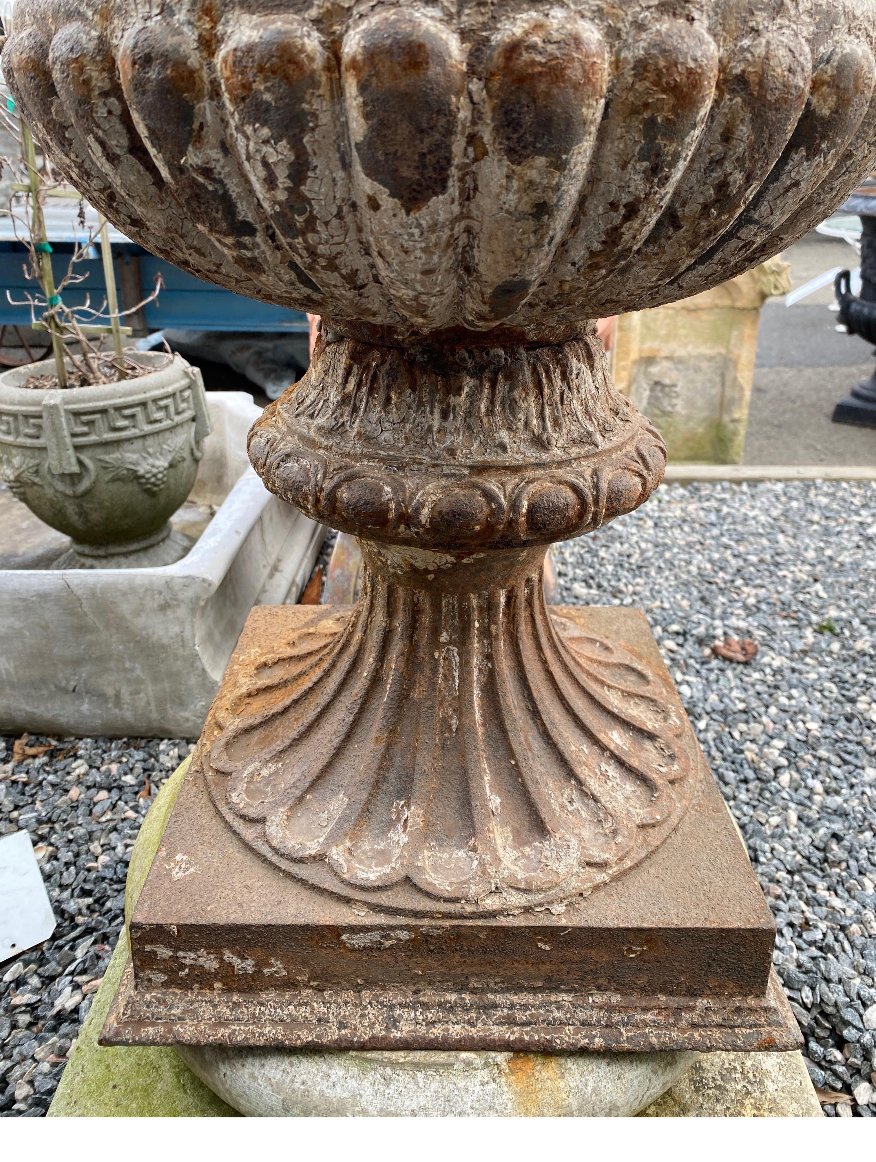 French Large Pair of Cast Iron Fluted Urns