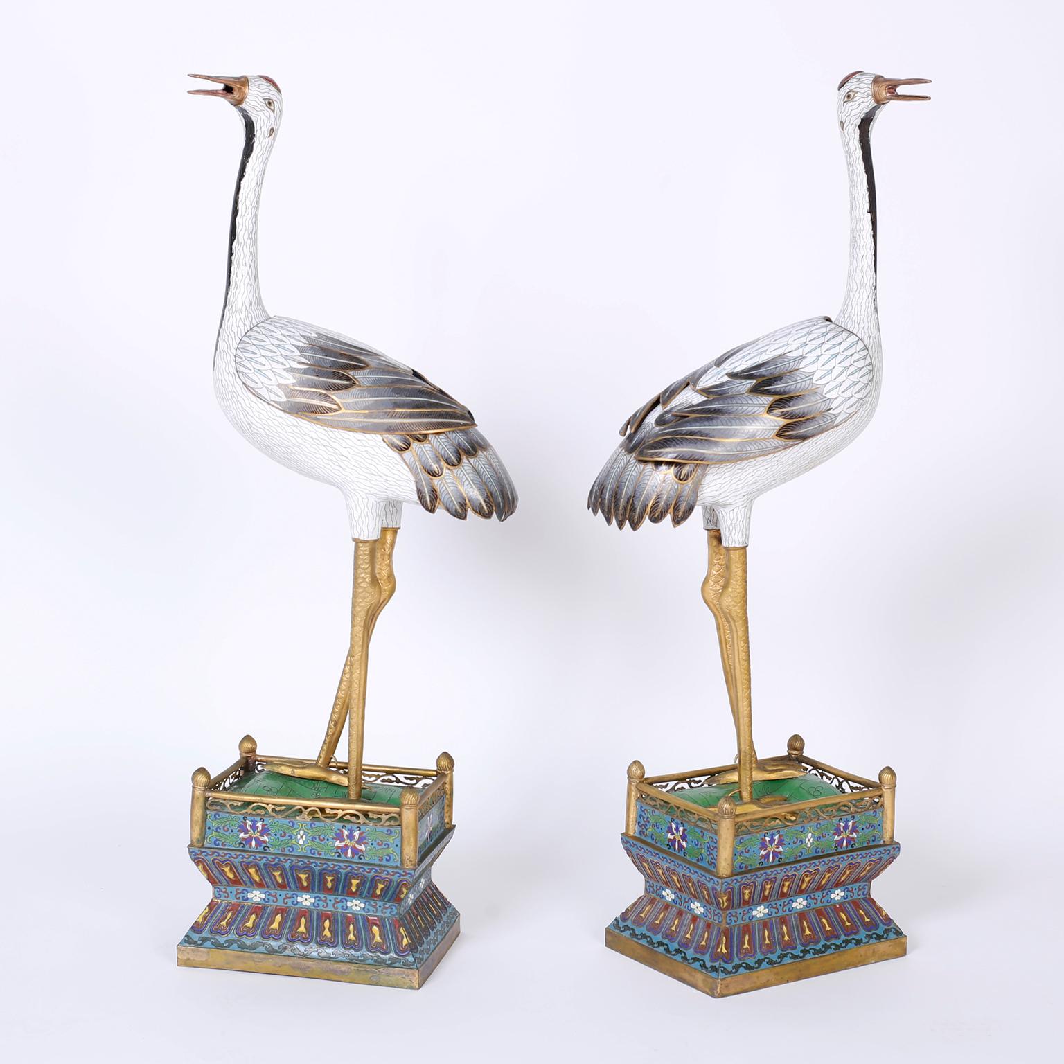 Large and impressive pair of Chinese cloisonné cranes that are a stunning example of the ancient art form of decorating brass with enamel. Each with stand out detail and removable wings.
 