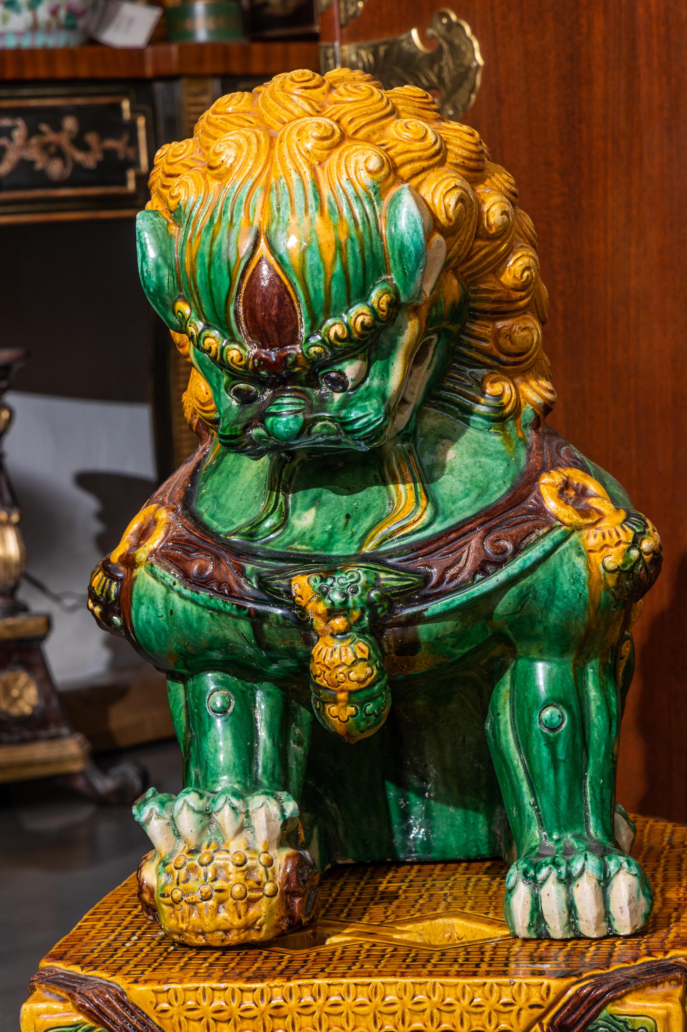 This is a handsome pair of vintage Chinese ceramic foo lions hand-painted in traditional green and color colors under a glaze.  The figures are situated in a regal position atop an impressive plinth.