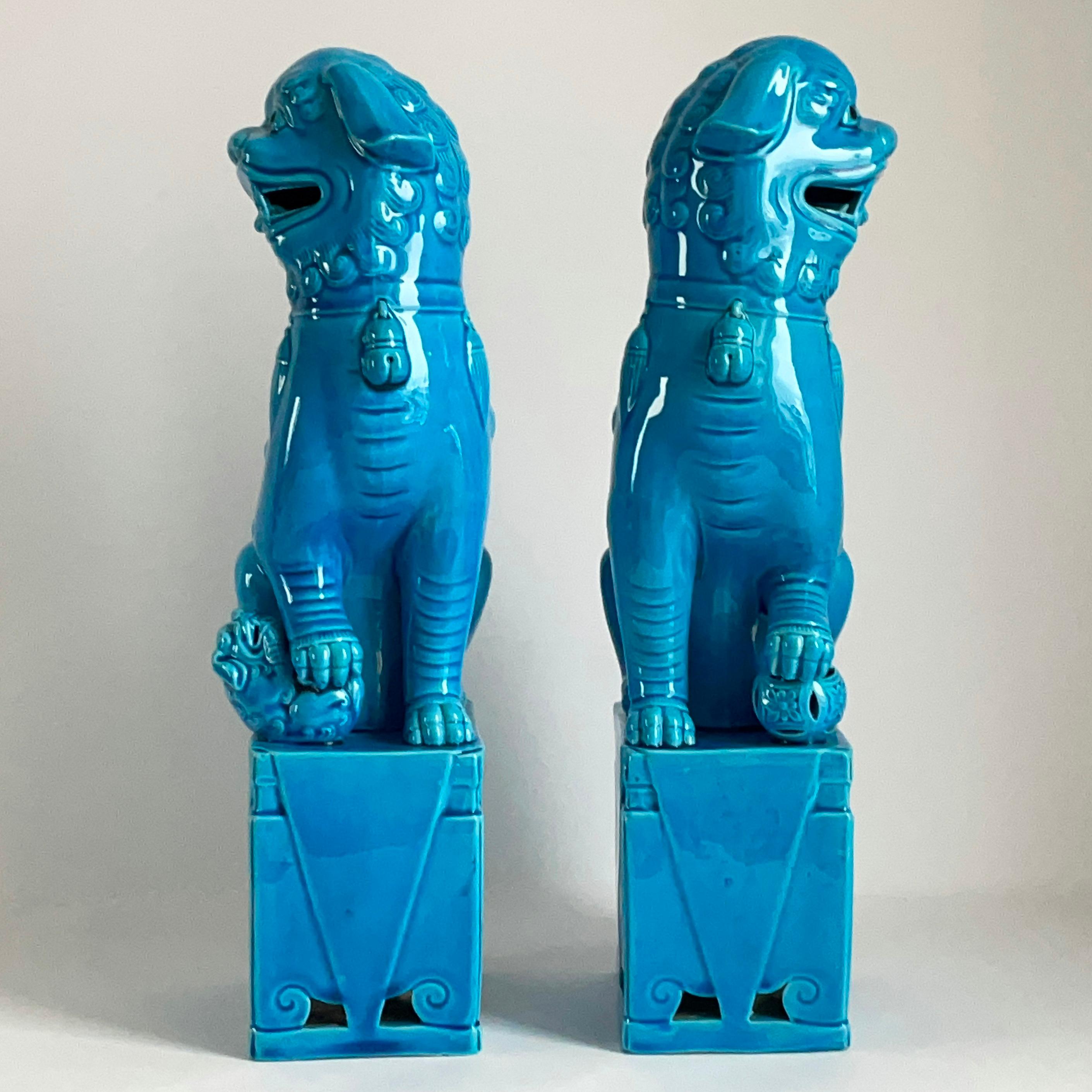 A very fine and detailed pair of Chinese turquoise glazed foo dogs. The hollow biscuit porcelain figures stand raised on a rectangular base and are looking sideways with open mouths and tongues showing teeth each with a raised front paw, one resting