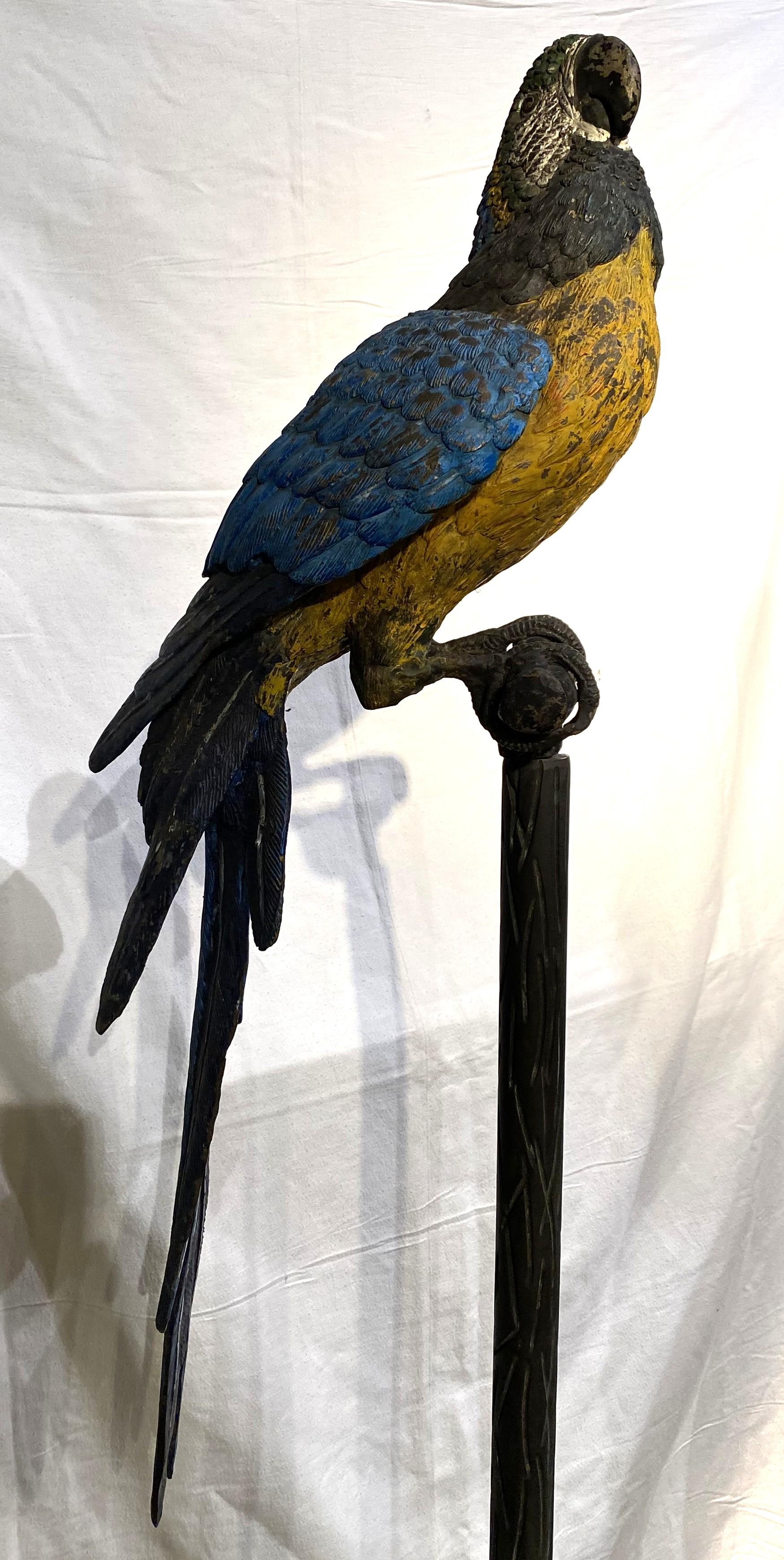 Grande coppia di pappagalli austriaci in bronzo dipinti a freddo su supporto in finto bois in vendita 3