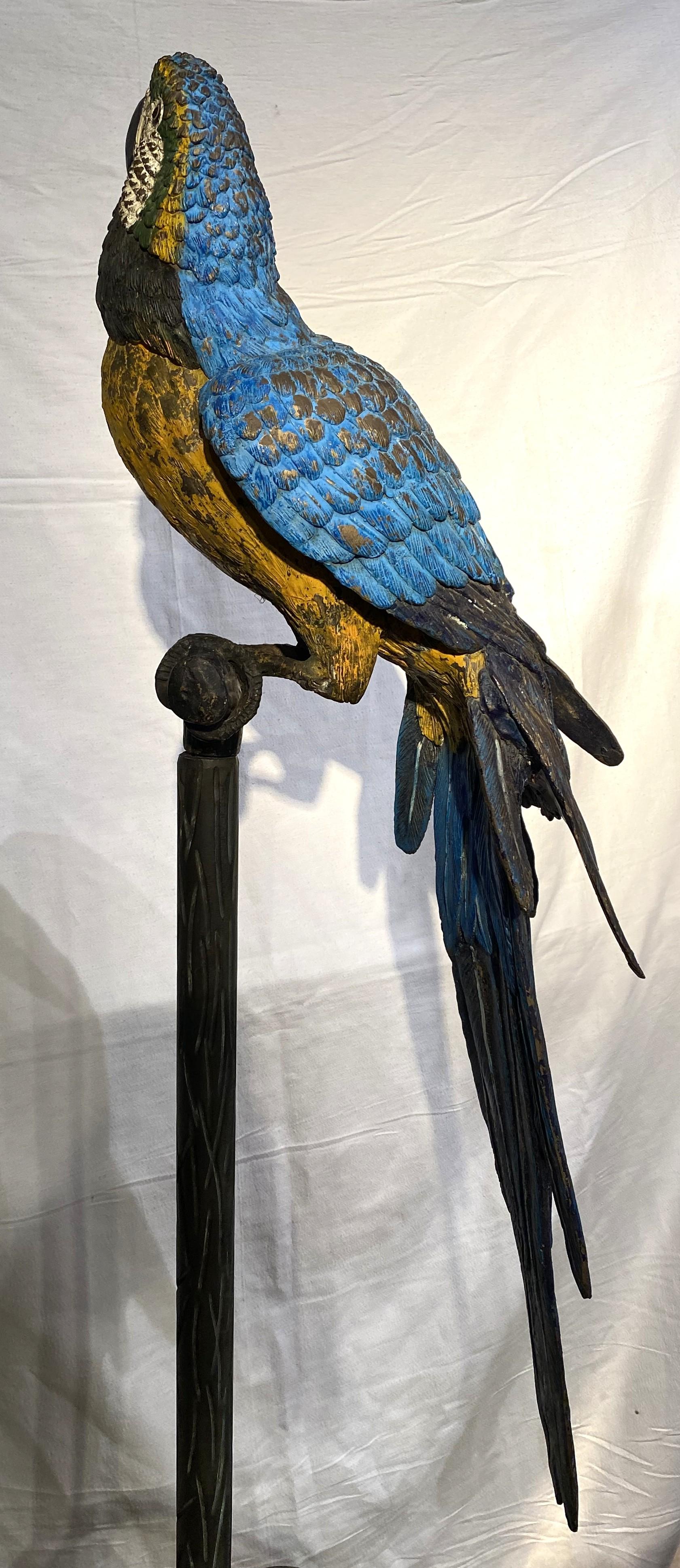 Grande coppia di pappagalli austriaci in bronzo dipinti a freddo su supporto in finto bois in vendita 6