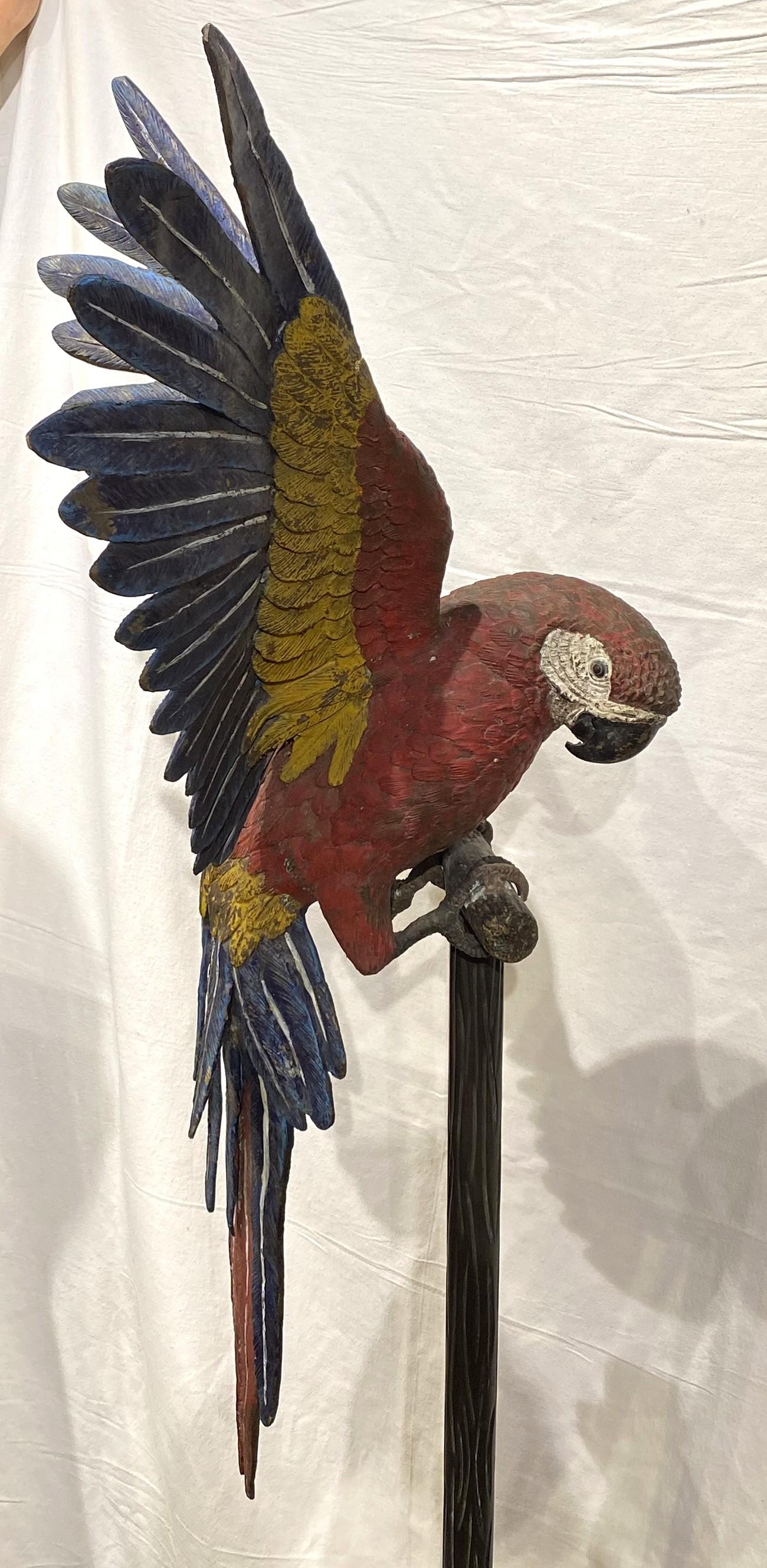 Bronzo Grande coppia di pappagalli austriaci in bronzo dipinti a freddo su supporto in finto bois in vendita