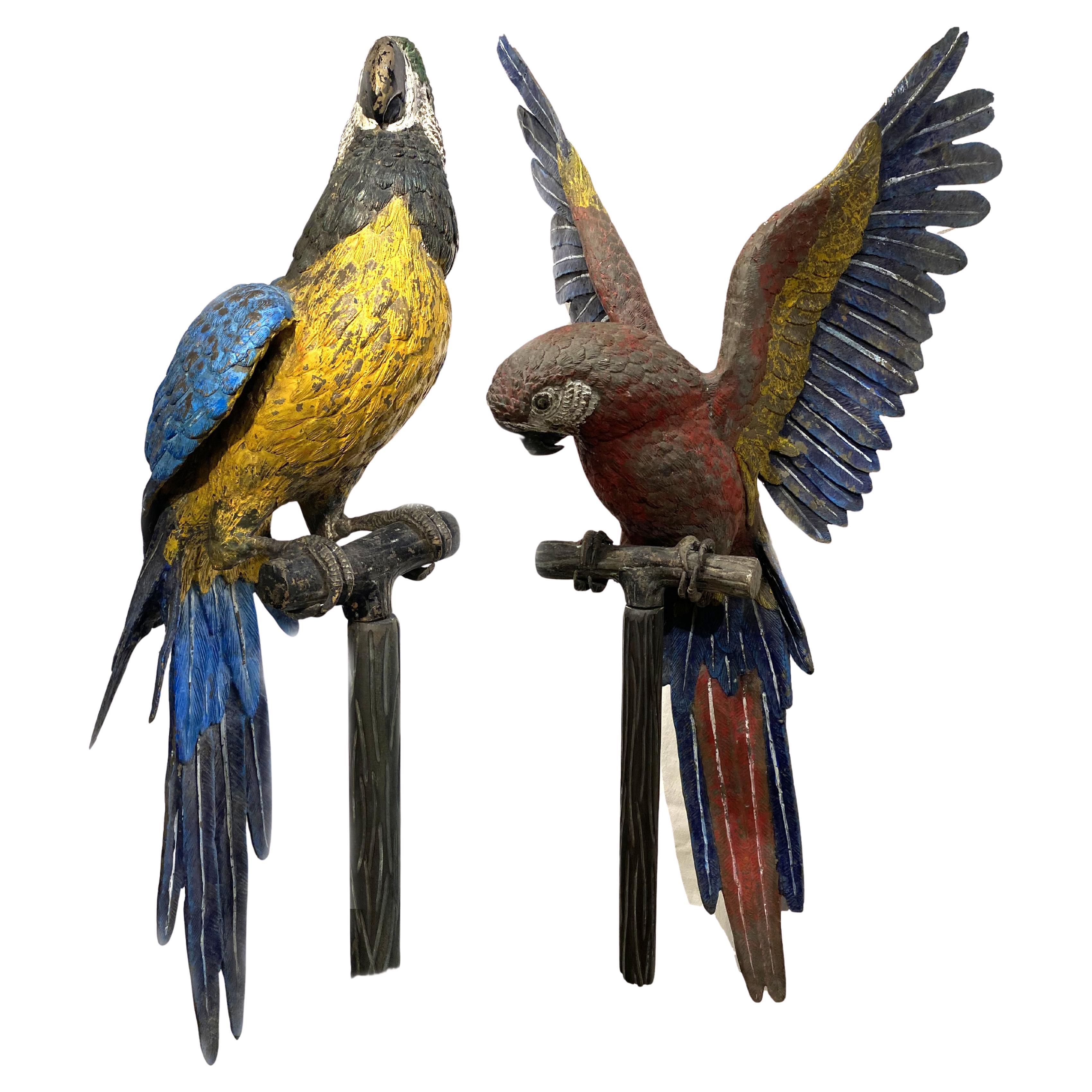 Grande coppia di pappagalli austriaci in bronzo dipinti a freddo su supporto in finto bois