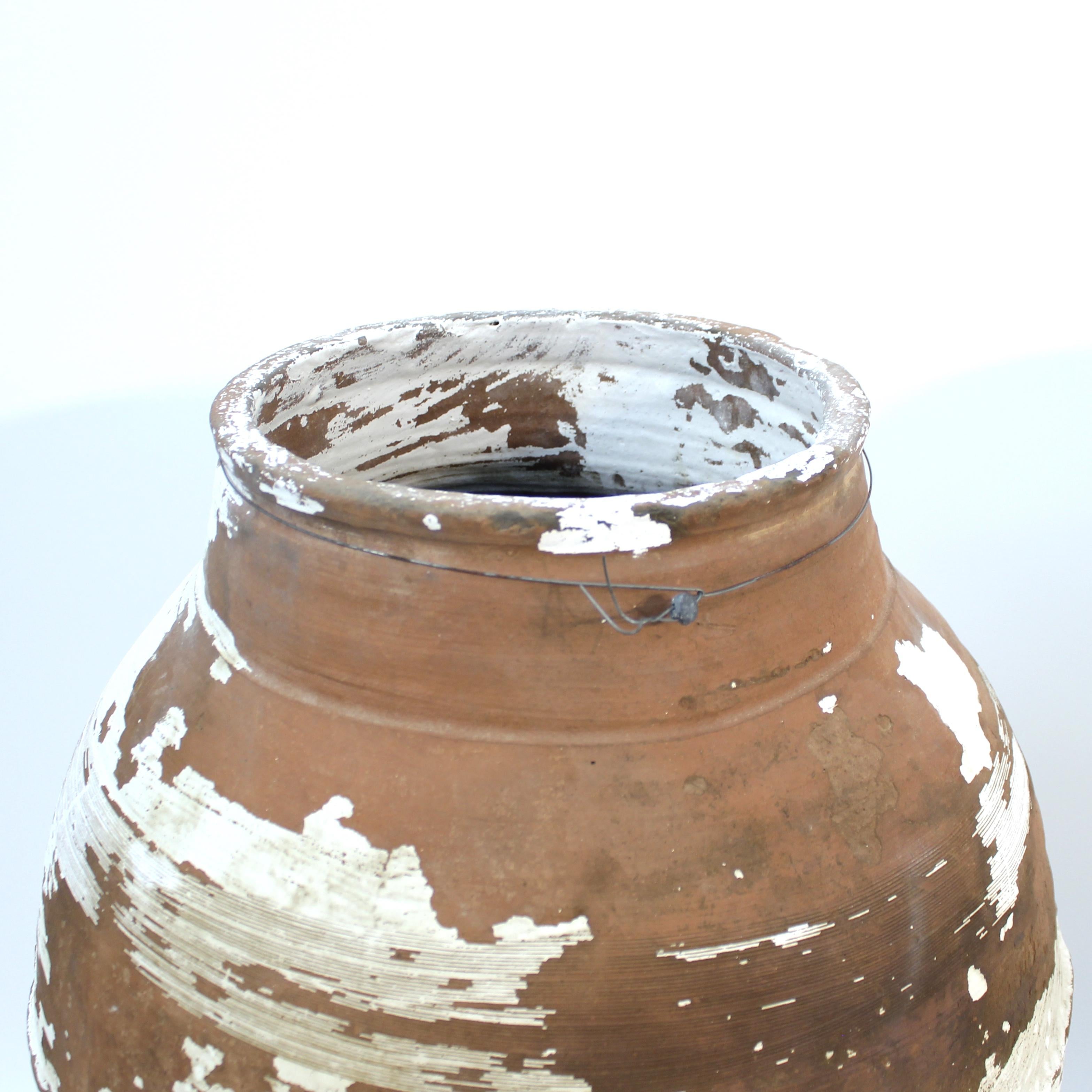 Grande coppia di vasi da olive mediterranei dell'inizio del XX secolo, 1930 ca. in vendita 3