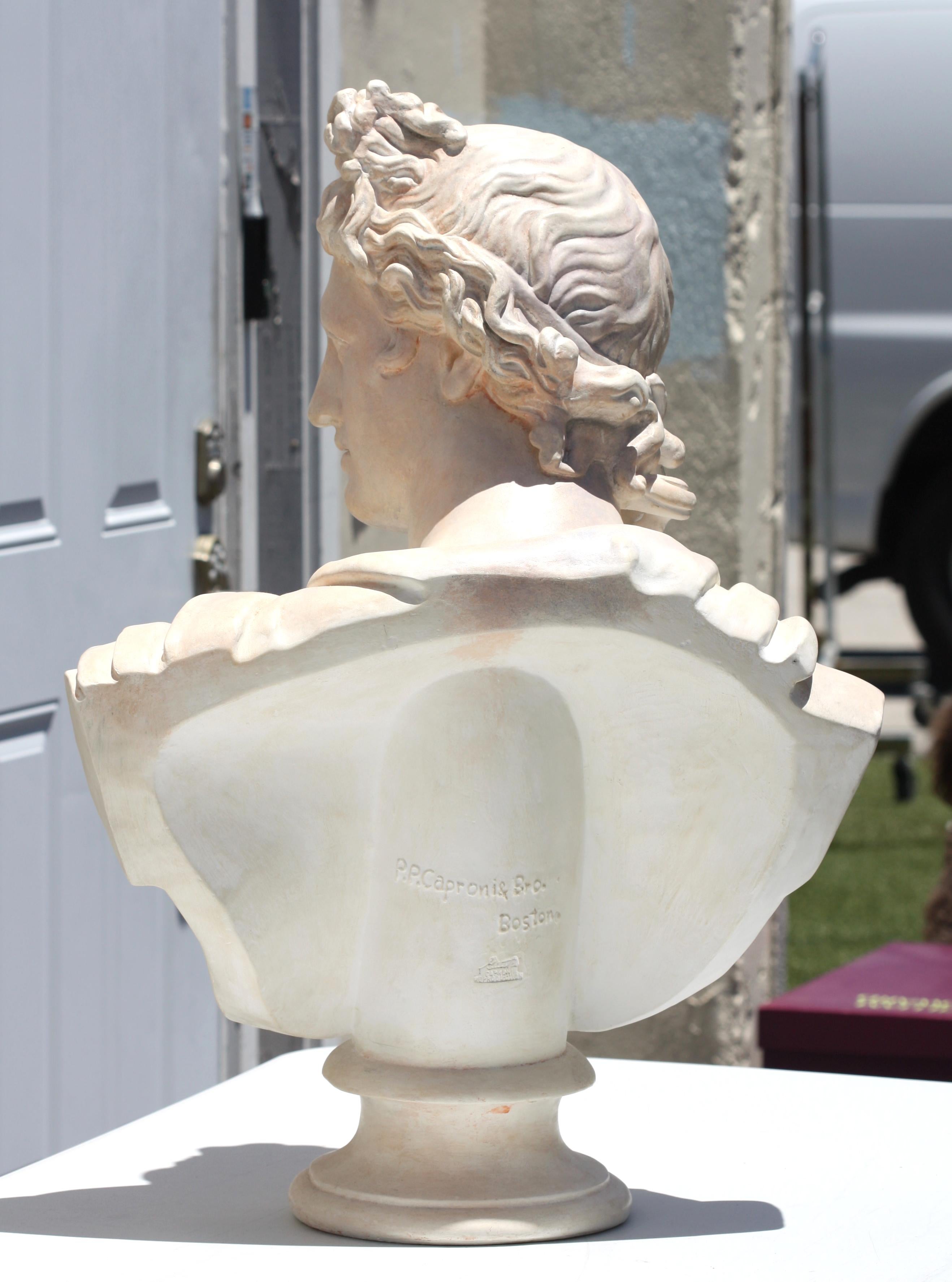 Large Pair of Faux Marble Busts of Apollo and Diana  For Sale 4