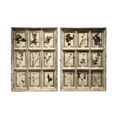 Antique Large Pair of Framed Florentine Dried Botanicals '#2', circa 1905