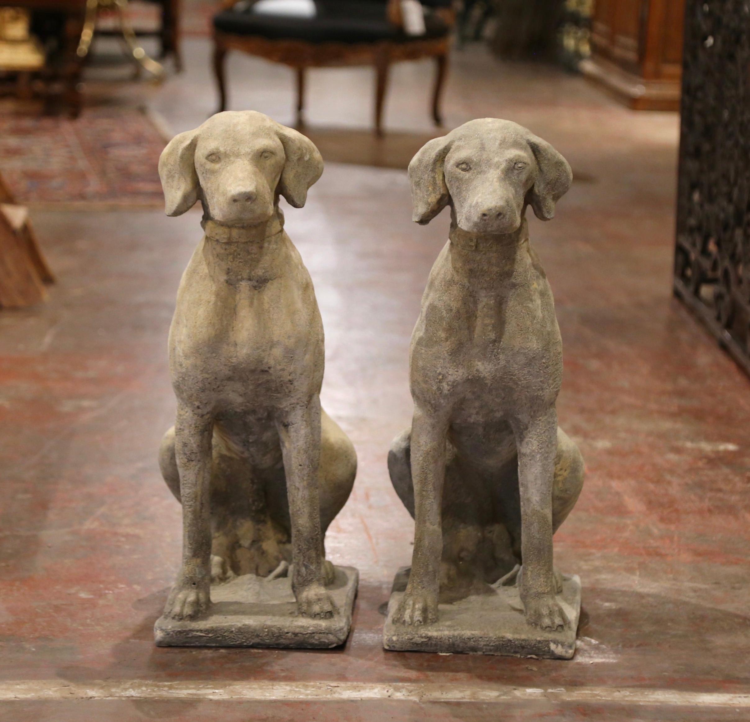 The hunting dogs sculptures were crafted in France, circa 2000. The stately, vintage Labradors with collar are set on a flat base and sitting on their back legs; they have wonderful expression and are further embellished with a collar around their