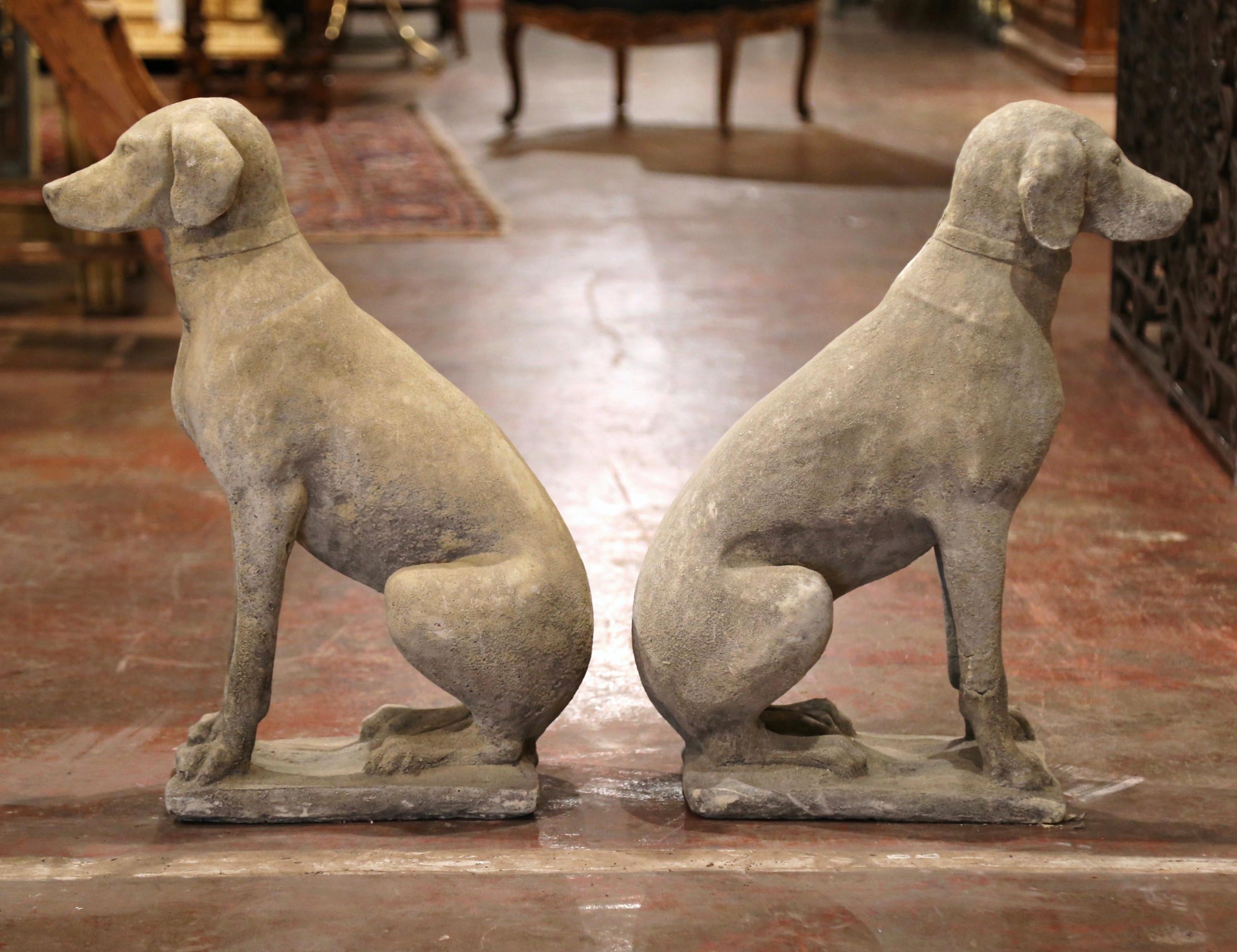 labrador stone statue