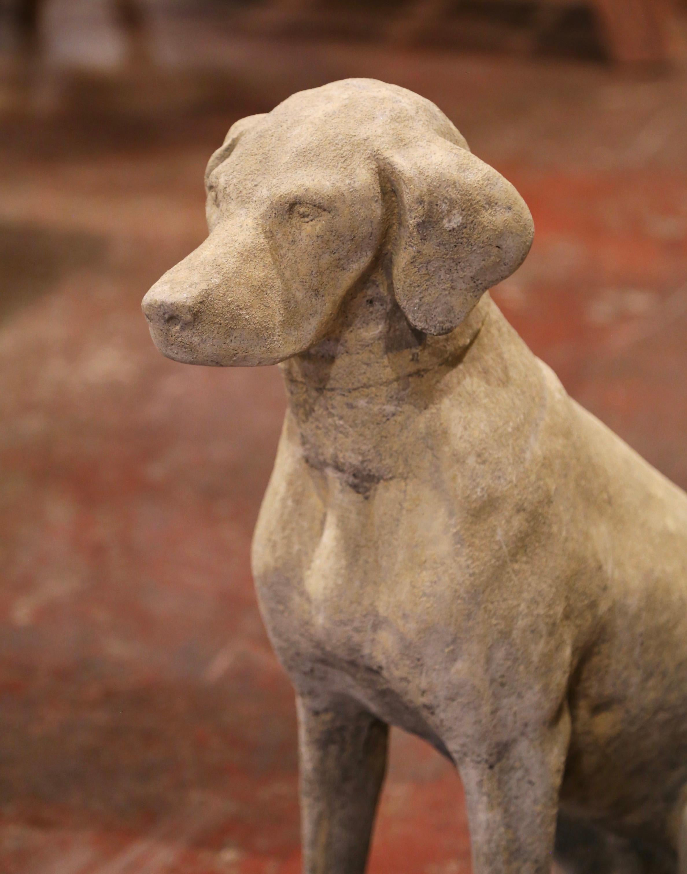 Large Pair of French Carved Stone Verdigris Patinated Labrador Dog Sculptures In Excellent Condition In Dallas, TX