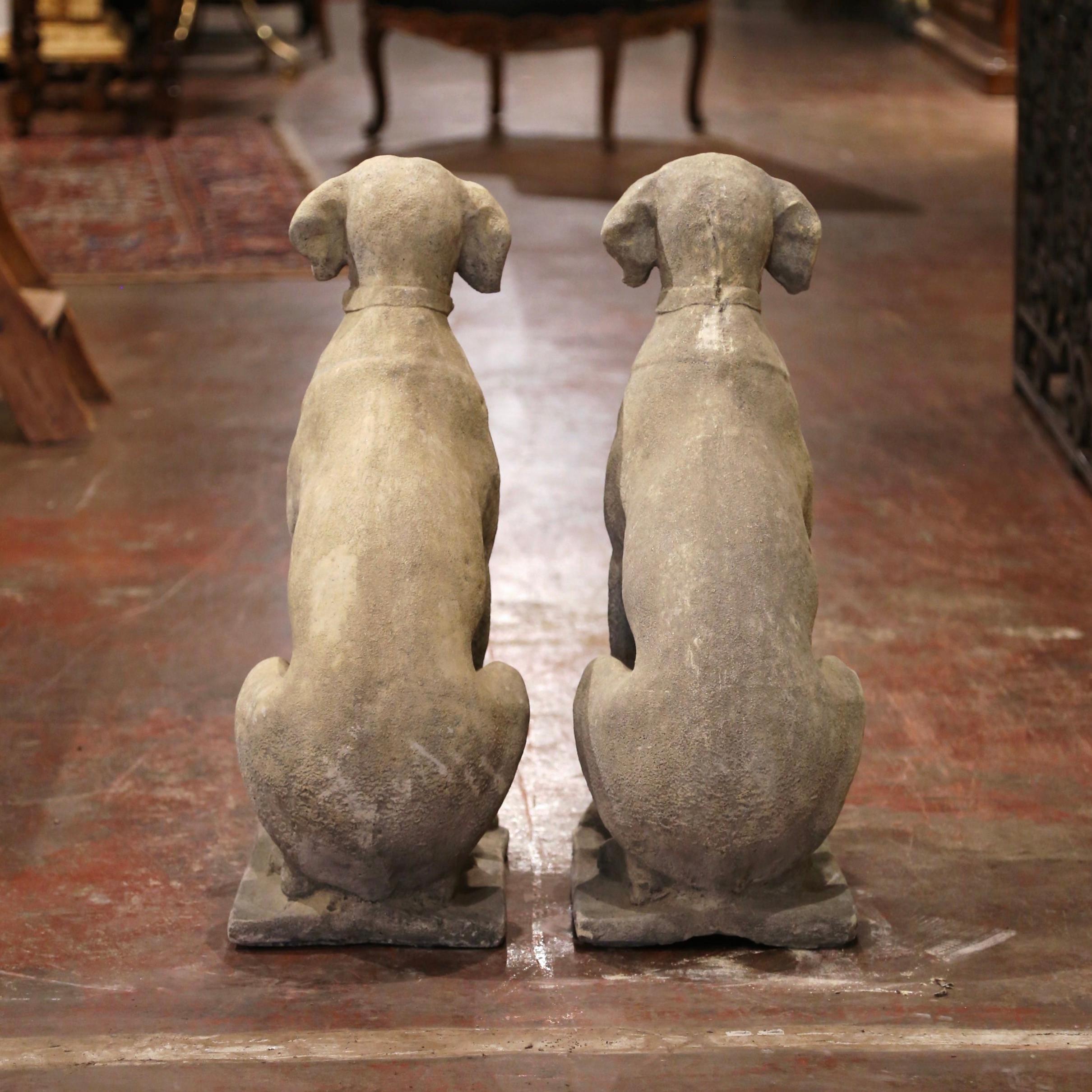 Large Pair of French Carved Stone Verdigris Patinated Labrador Dog Sculptures 1