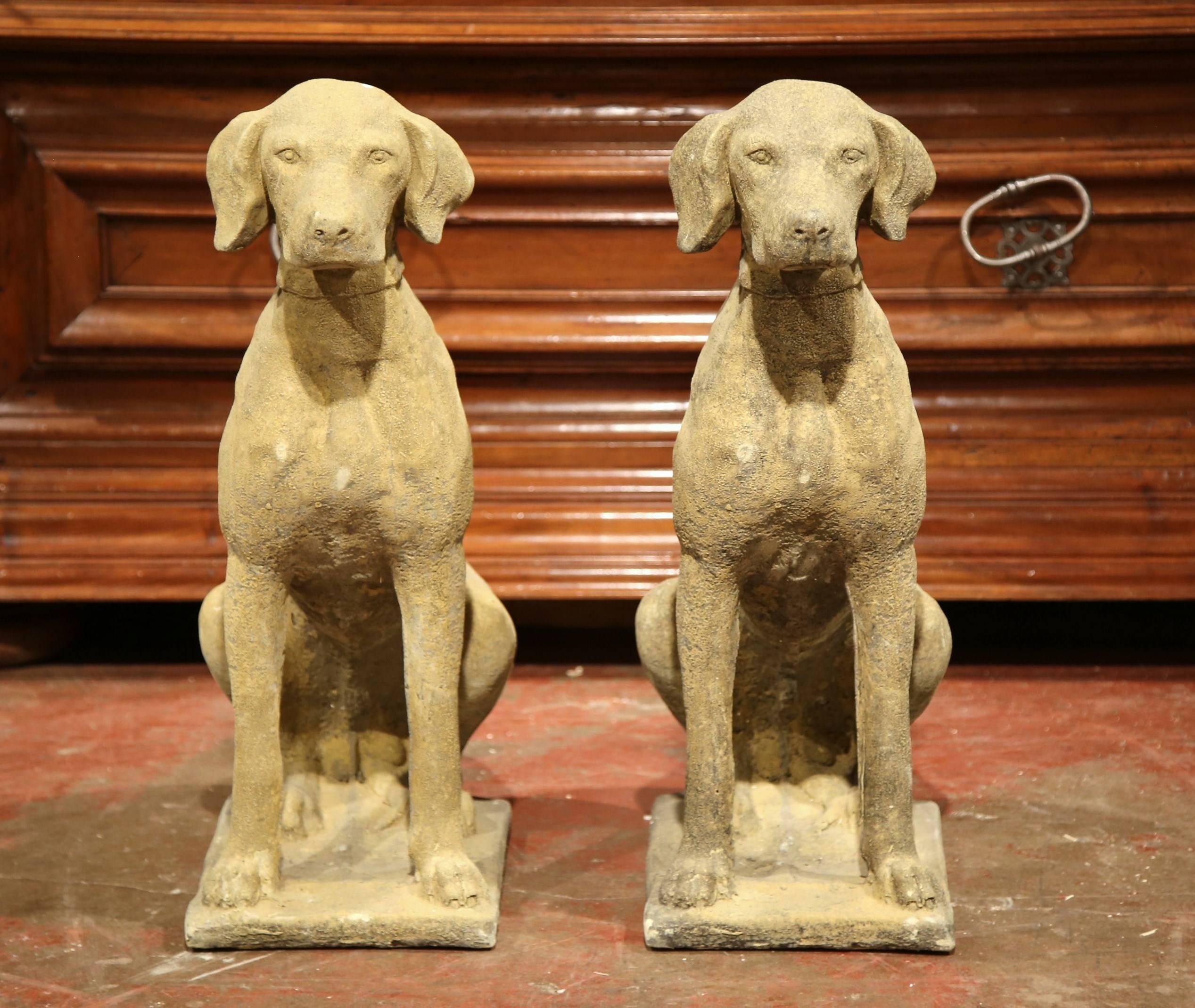 Large Pair of French Concrete Verdigris Patinated Labrador Dog Sculptures In Excellent Condition In Dallas, TX