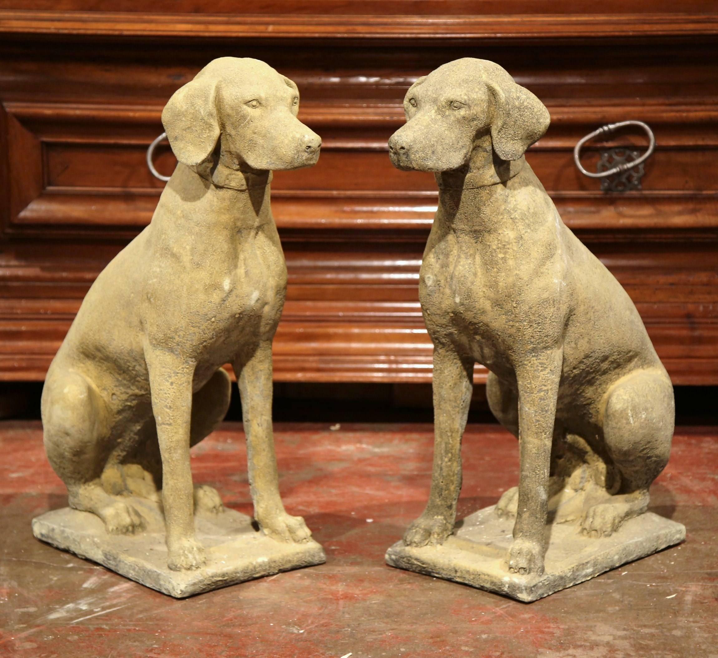 Contemporary Large Pair of French Concrete Verdigris Patinated Labrador Dog Sculptures