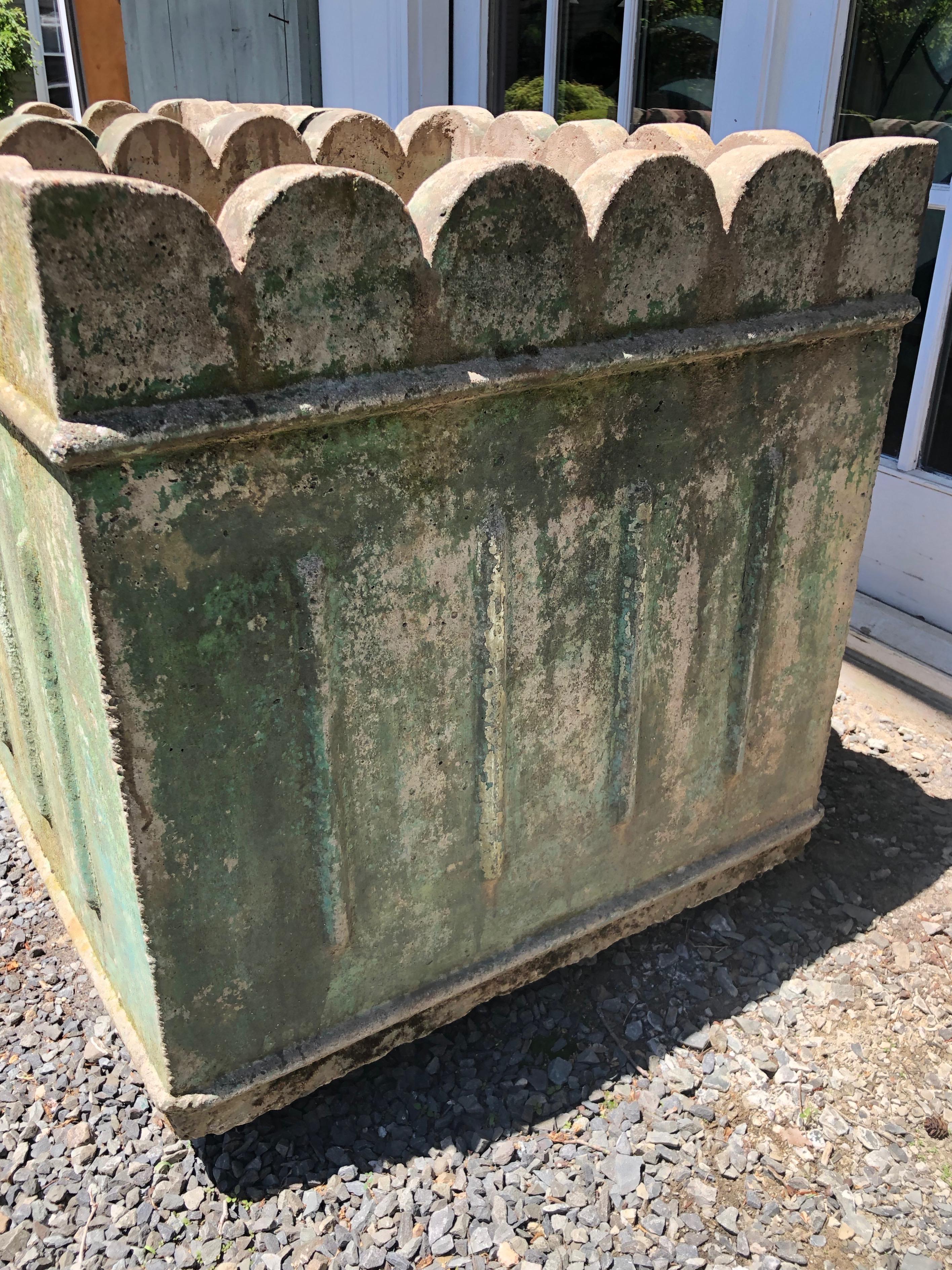 Large Pair of French Scalloped-Top Planters in Old Green Wash 5
