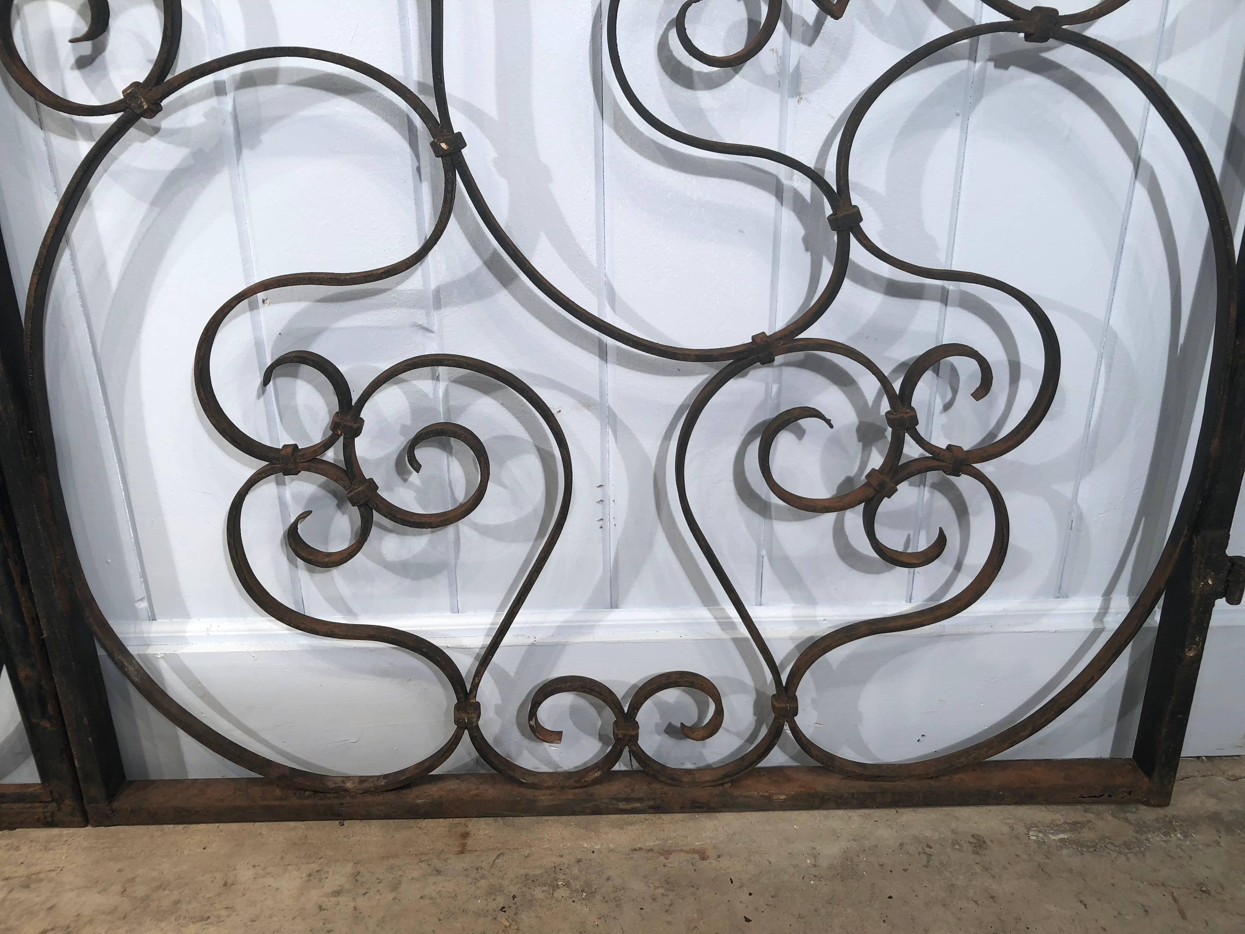Large Pair of French Wrought Iron Gates with Toucans 1