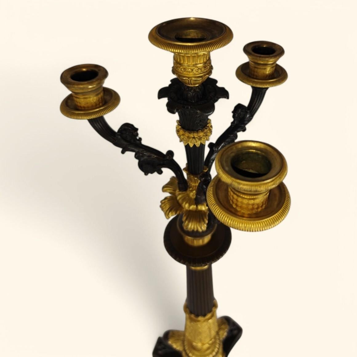 Grande coppia di candelabri in bronzo dorato - Periodo della Restaurazione francese (1815-1830) in vendita 3