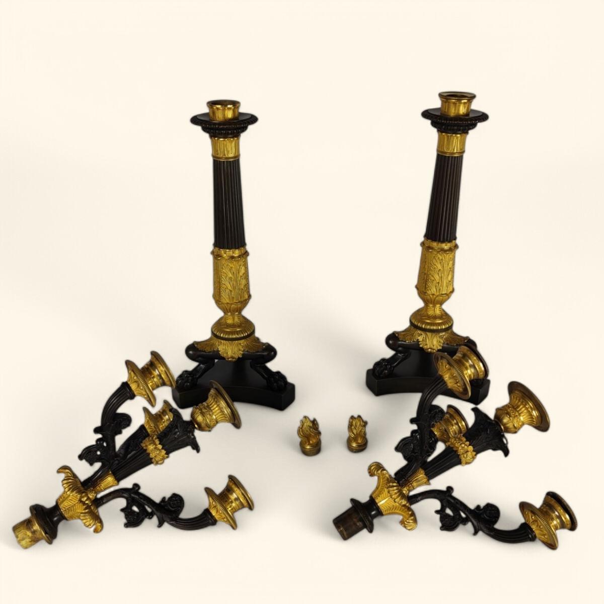 Grande coppia di candelabri in bronzo dorato - Periodo della Restaurazione francese (1815-1830) in vendita 7