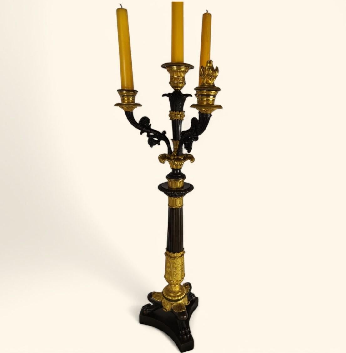 Annerito Grande coppia di candelabri in bronzo dorato - Periodo della Restaurazione francese (1815-1830) in vendita