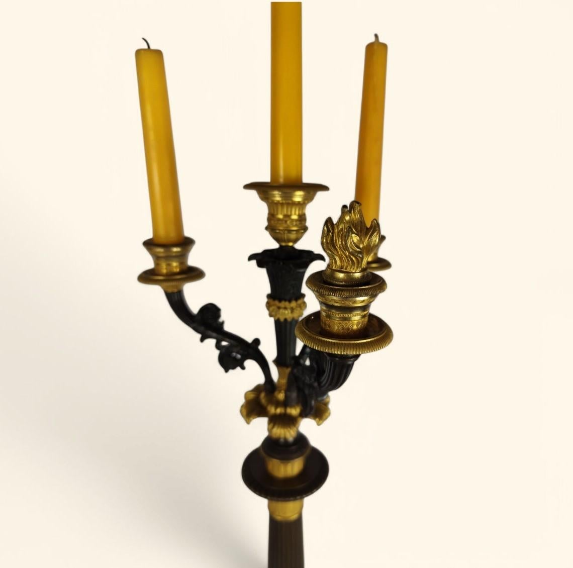 Grande coppia di candelabri in bronzo dorato - Periodo della Restaurazione francese (1815-1830) In condizioni buone in vendita a MOUGINS, FR