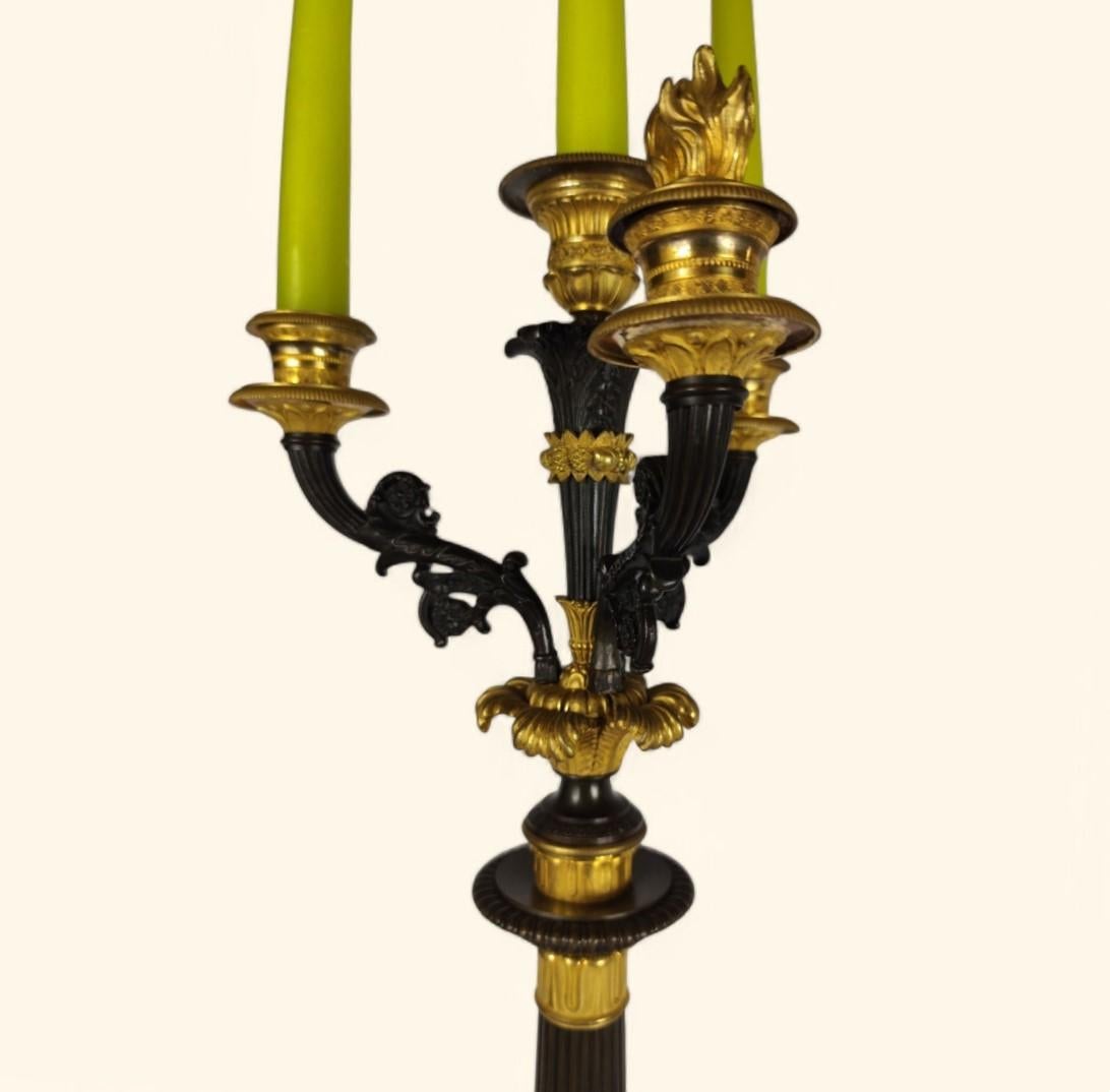 Grande coppia di candelabri in bronzo dorato - Periodo della Restaurazione francese (1815-1830) in vendita 1