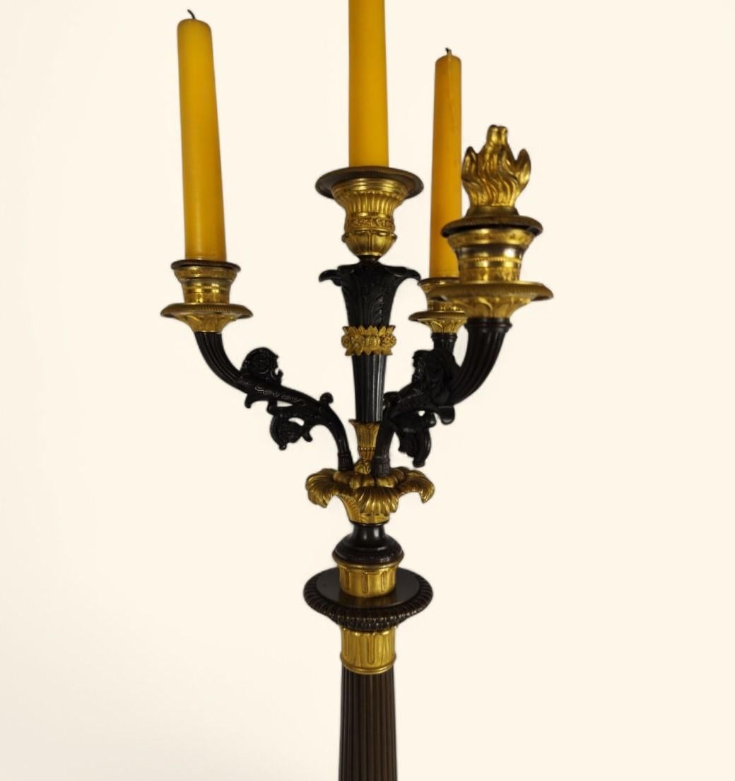 Grande coppia di candelabri in bronzo dorato - Periodo della Restaurazione francese (1815-1830) in vendita 2