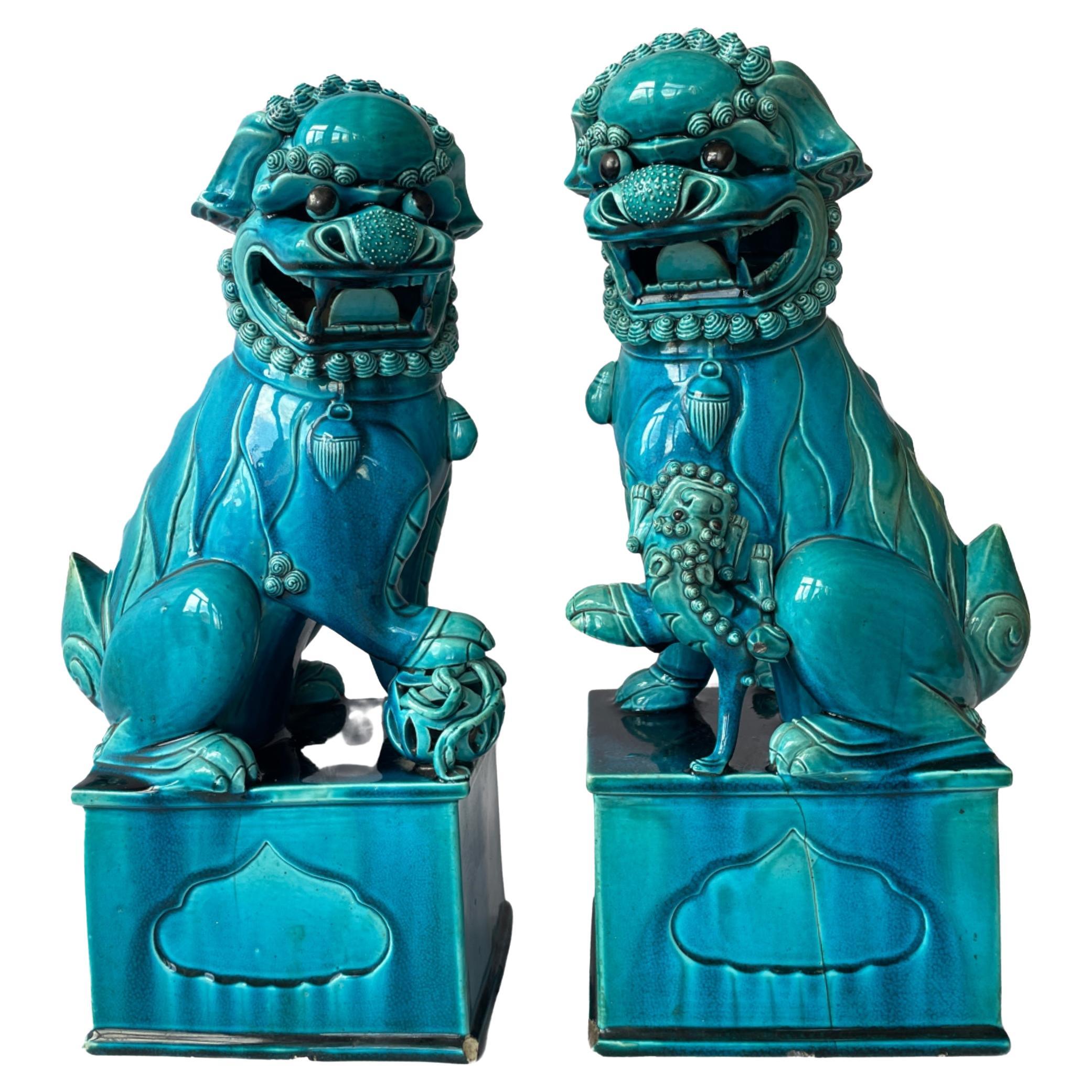 Grande paire de chiens Foo en porcelaine turquoise graduée. Aux États-Unis vers 1880