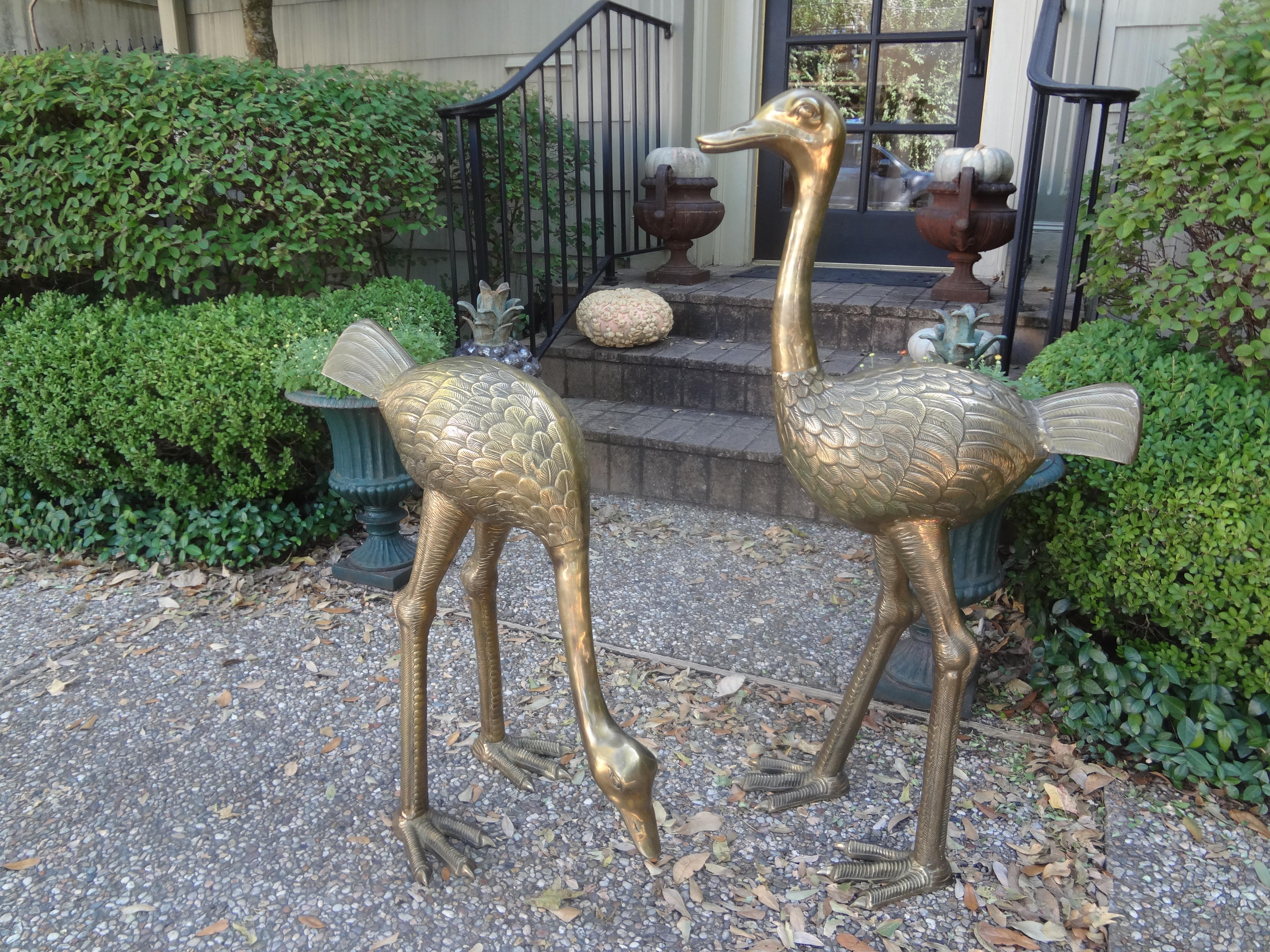 Large pair of Hollywood Regency brass ostrich figures. This stunning pair of midcentury brass ostriches are well detailed and make the perfect design accessory for many interiors. Great Patina!
Dimensions,
 Larger: 
40.5 inches H
 14 inches W
 25.25