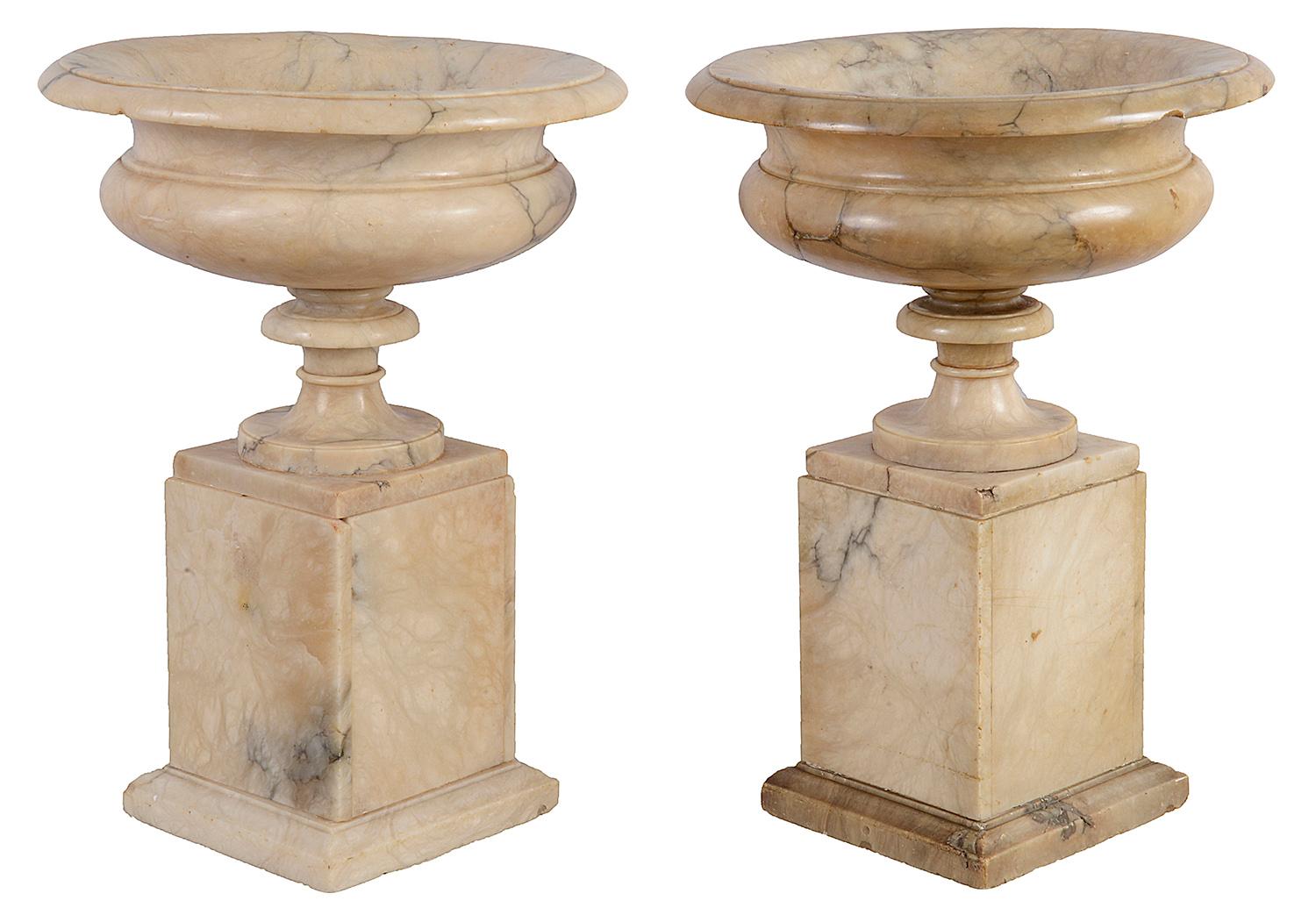 A very impressive pair of Italian 19th century carved Alabaster Grand Tour tazzas on pedestals. Measures: 43cm(17