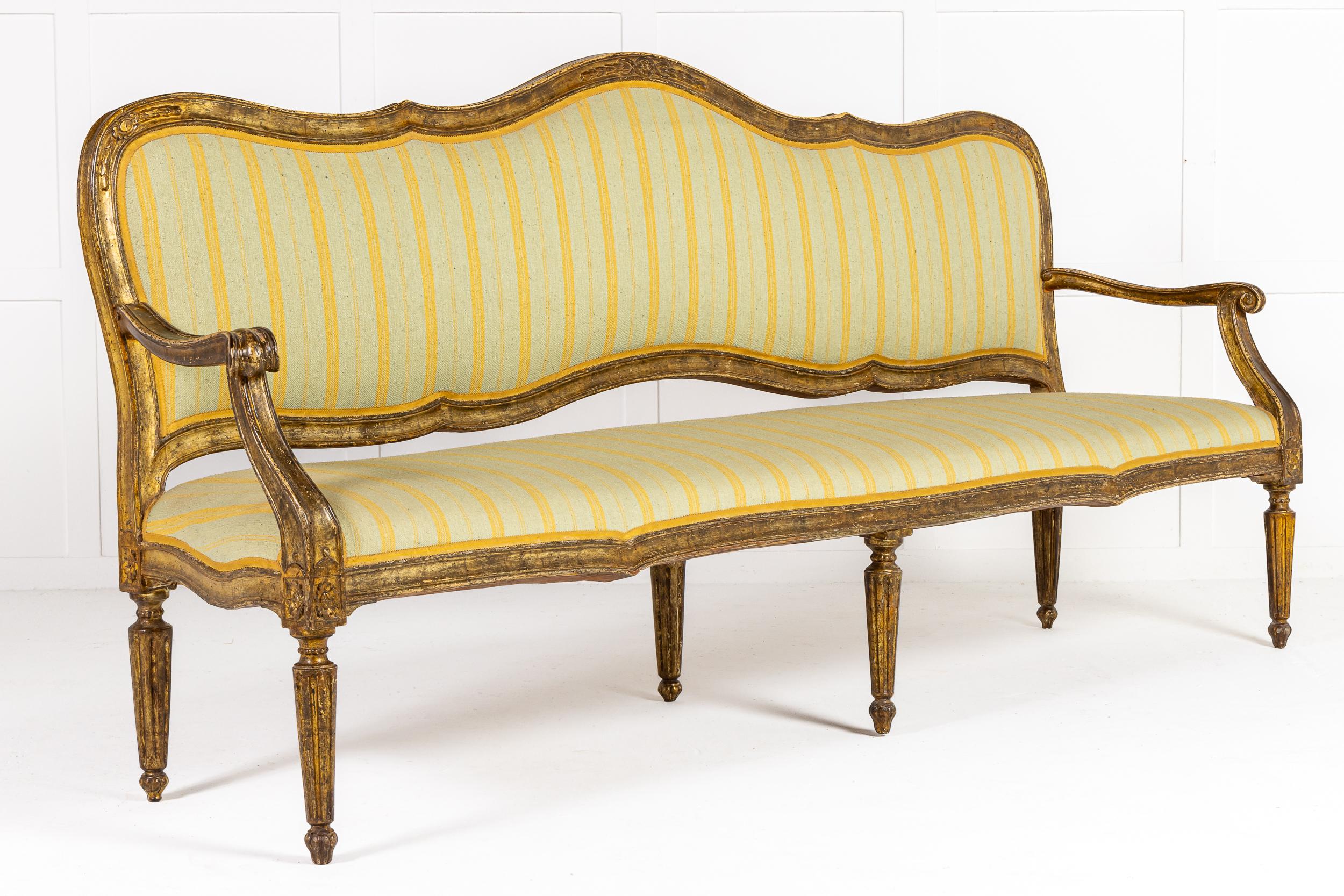 Impressionnante paire de canapés en bois doré italiens de la fin du XVIIIe siècle.

Ces canapés sont de beaux exemples de design italien néoclassique. La traverse de tête est de forme serpentine et ces courbes se poursuivent sous une forme plus