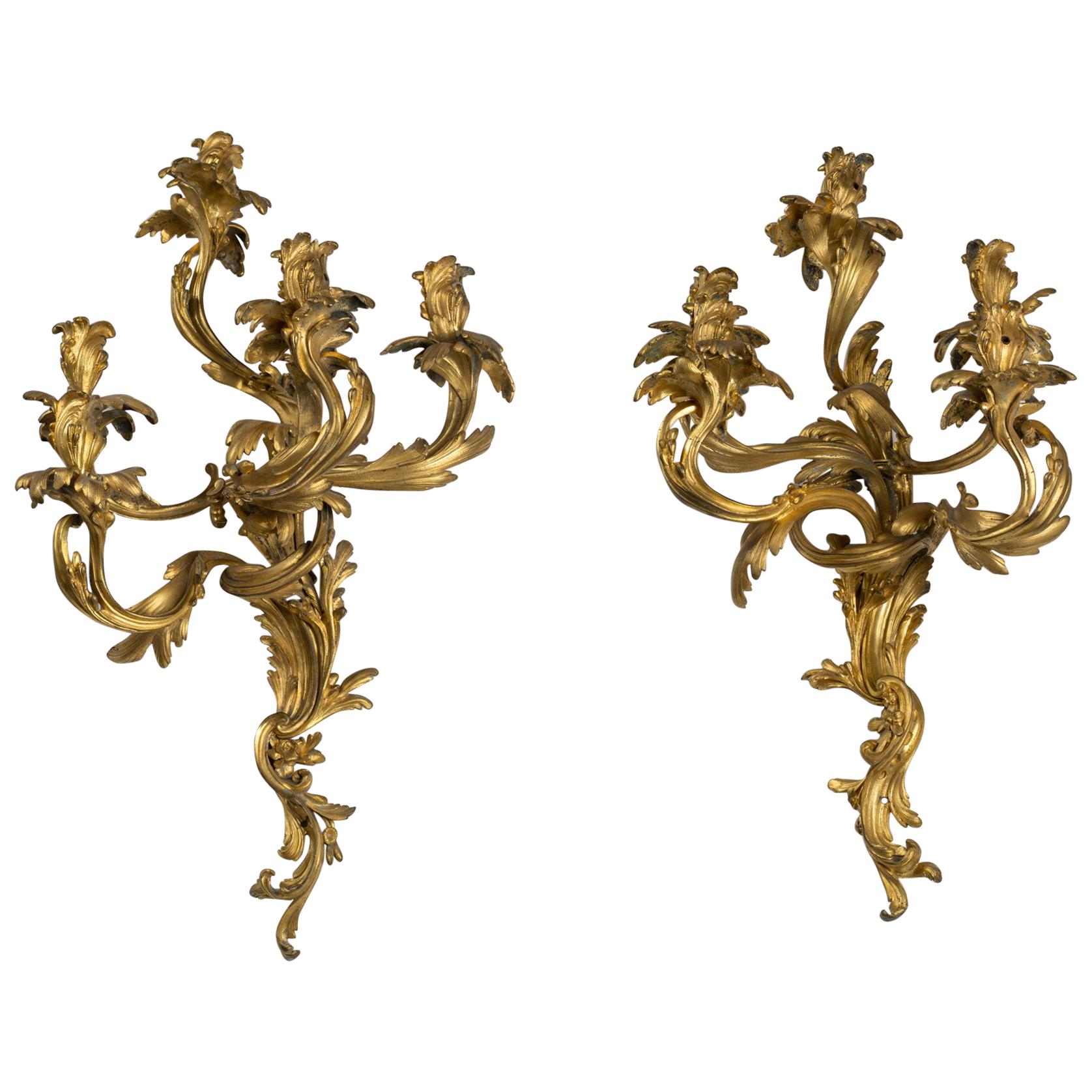 Großes Paar Louis XV-Wandleuchten aus Goldbronze mit fünf Leuchten im Stil von Caffieri