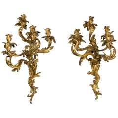 Antique Large Pair of Louis XV Ormolu Five-Light Wall Lights in the Style of Caffieri