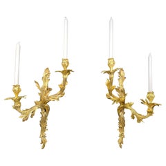 Large Pair Of Louis XV Rocaille Style Wall Lamps In Gilt Bronze